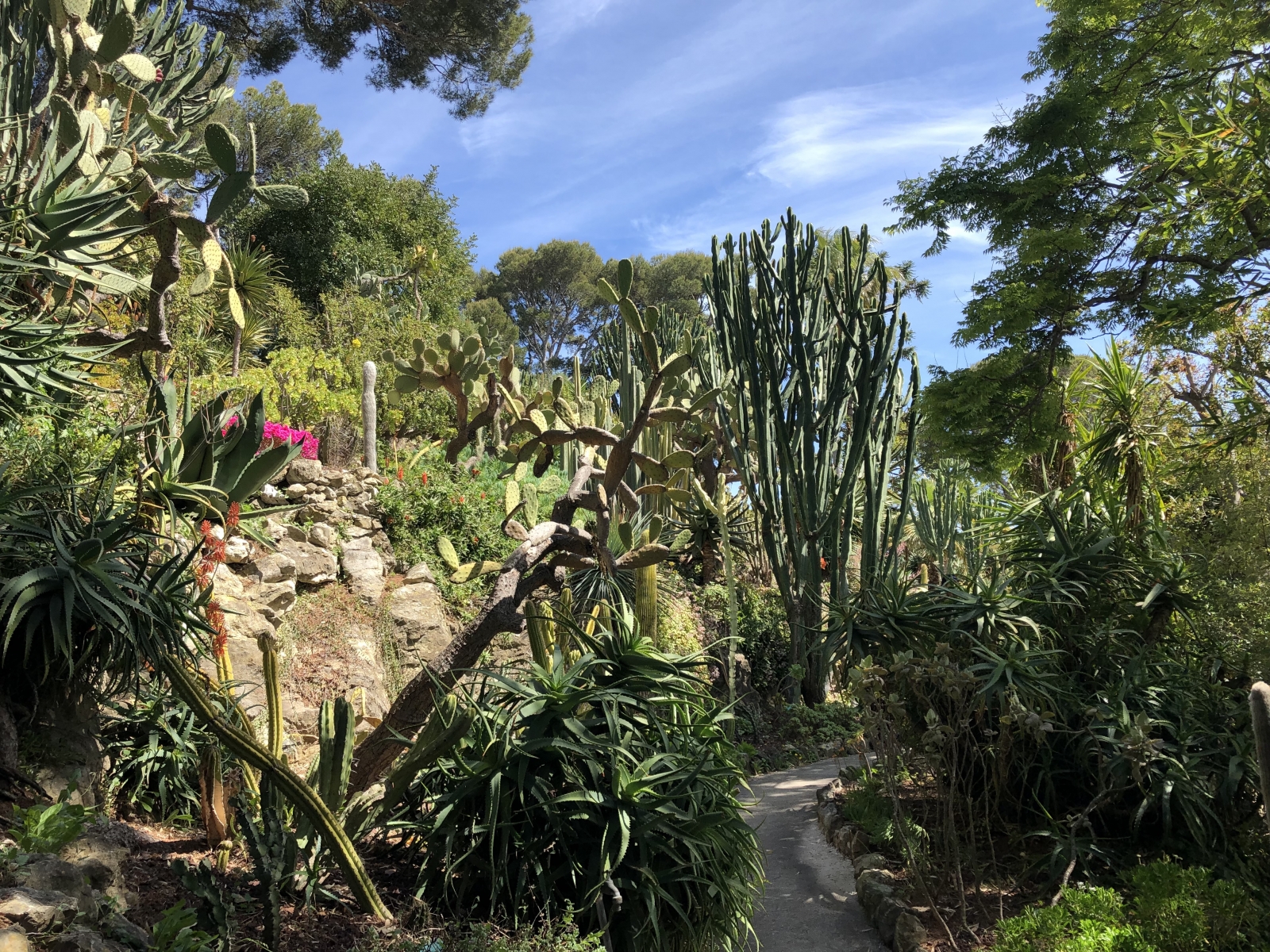 Visite de la villa Ephrussi de Rothschild