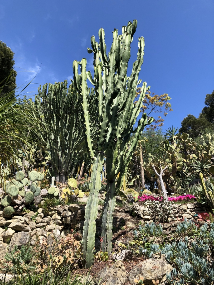 Visite de la villa Ephrussi de Rothschild