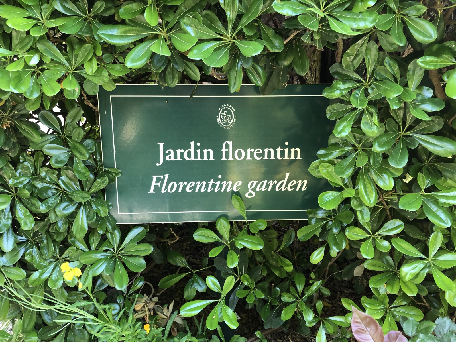 Visite de la villa Ephrussi de Rothschild