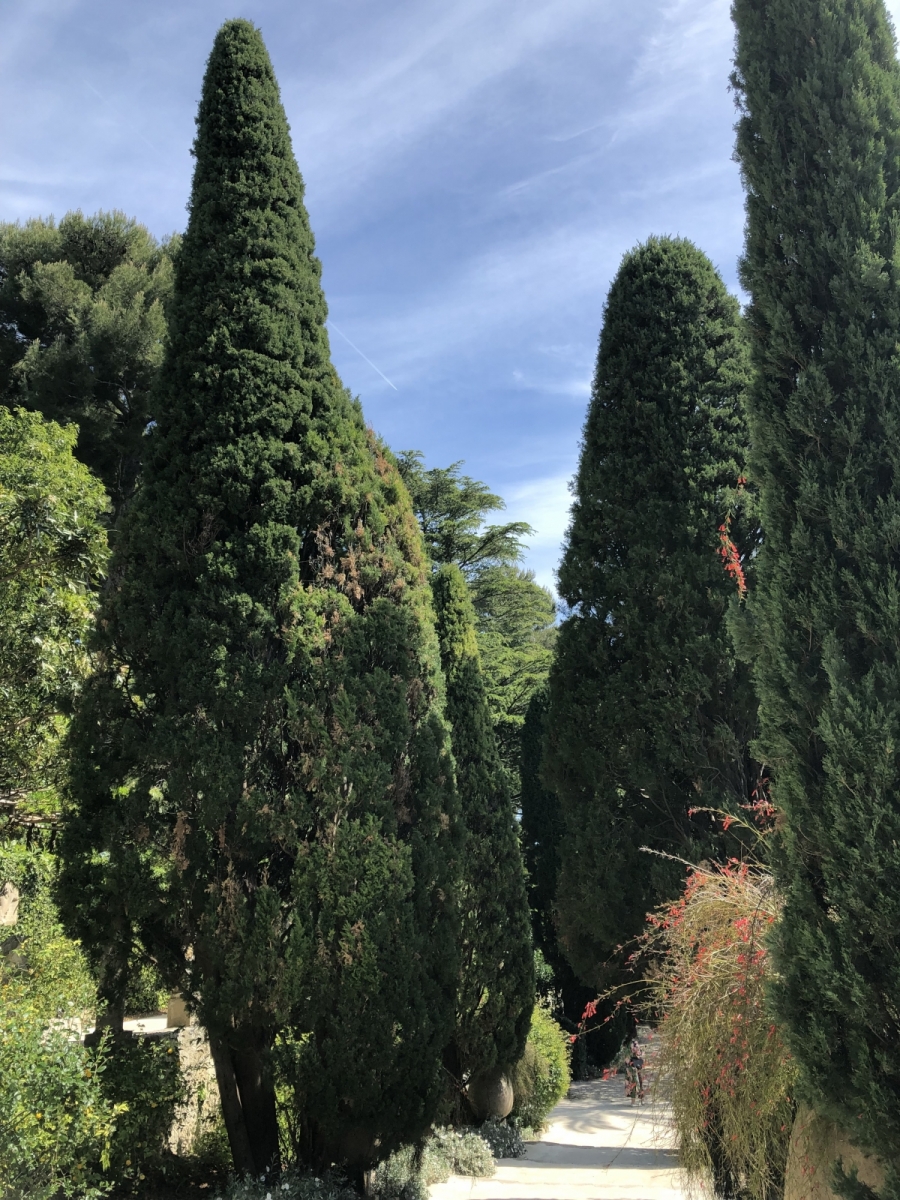 Visite de la villa Ephrussi de Rothschild