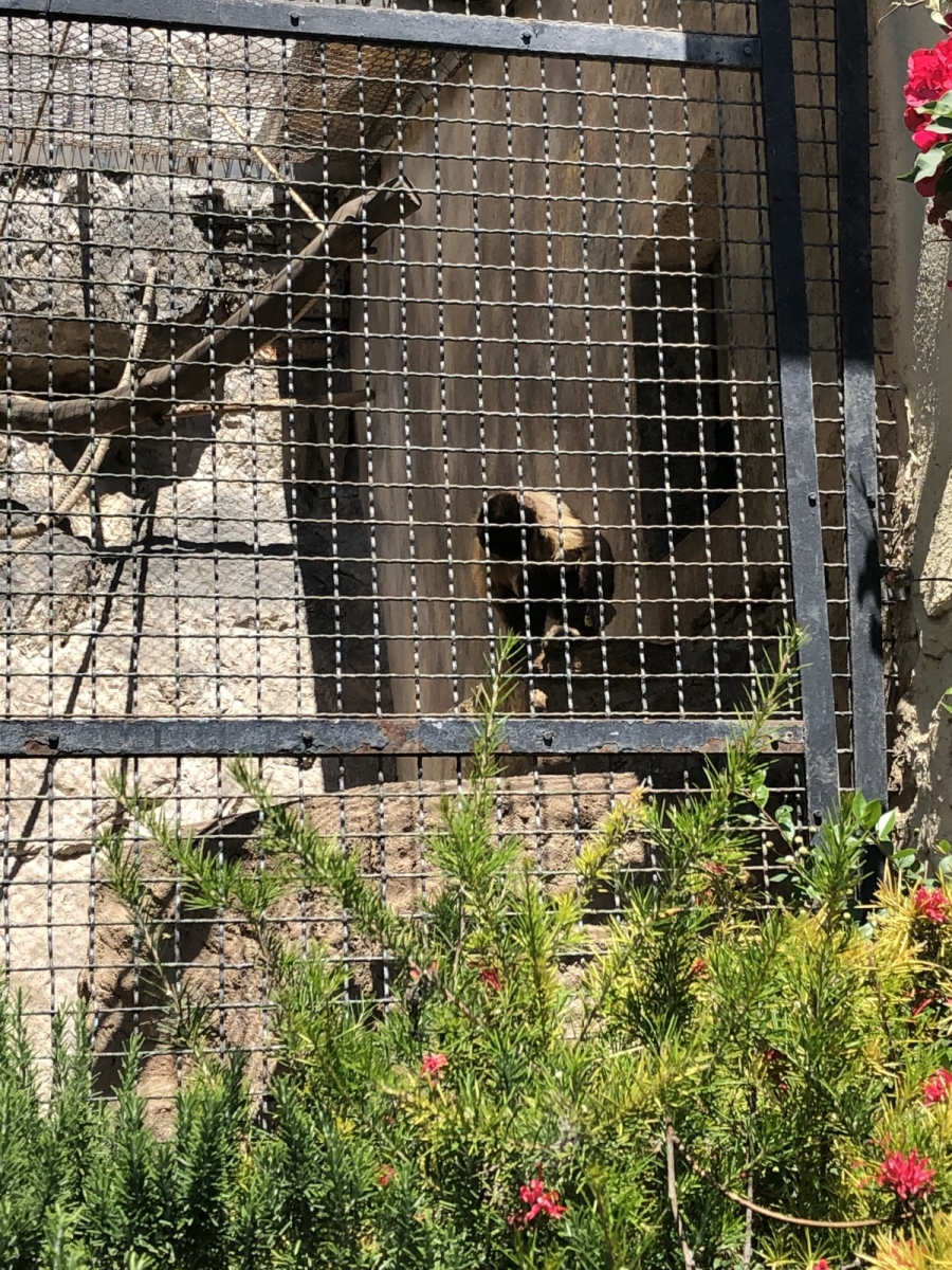 Visite du jardin animalier de Monaco