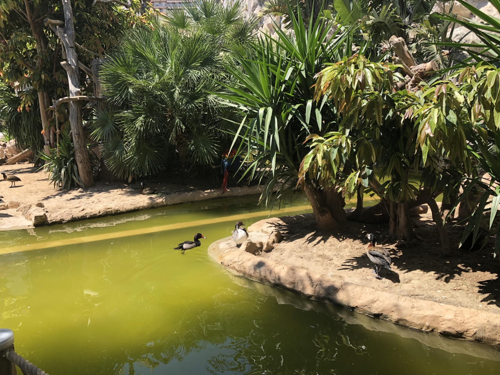 Visite du jardin animalier de Monaco