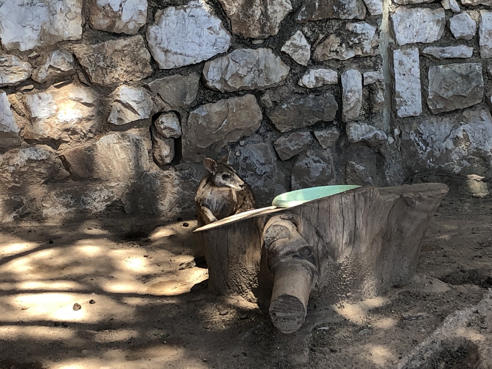Visite du jardin animalier de Monaco