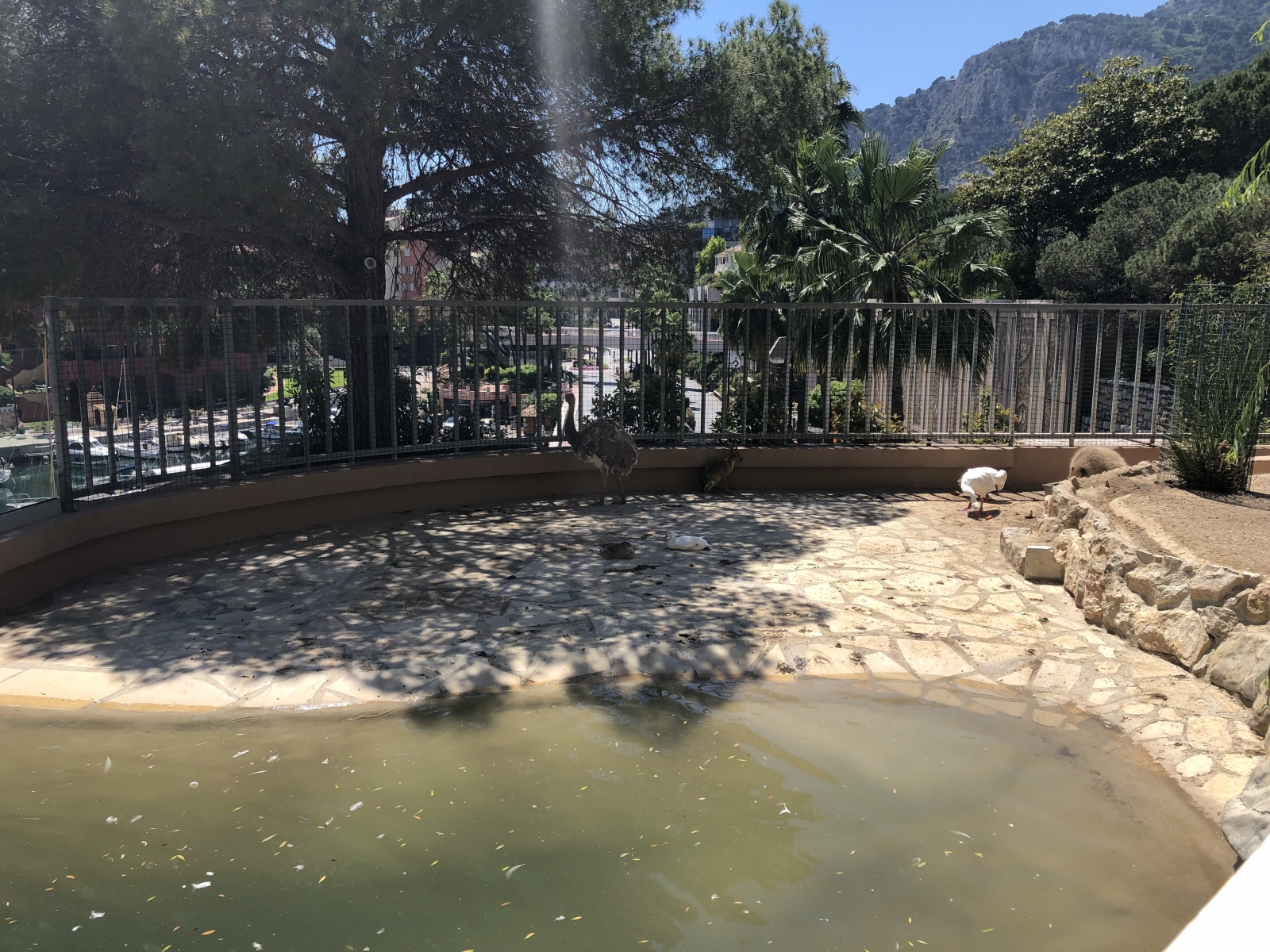 Visite du jardin animalier de Monaco