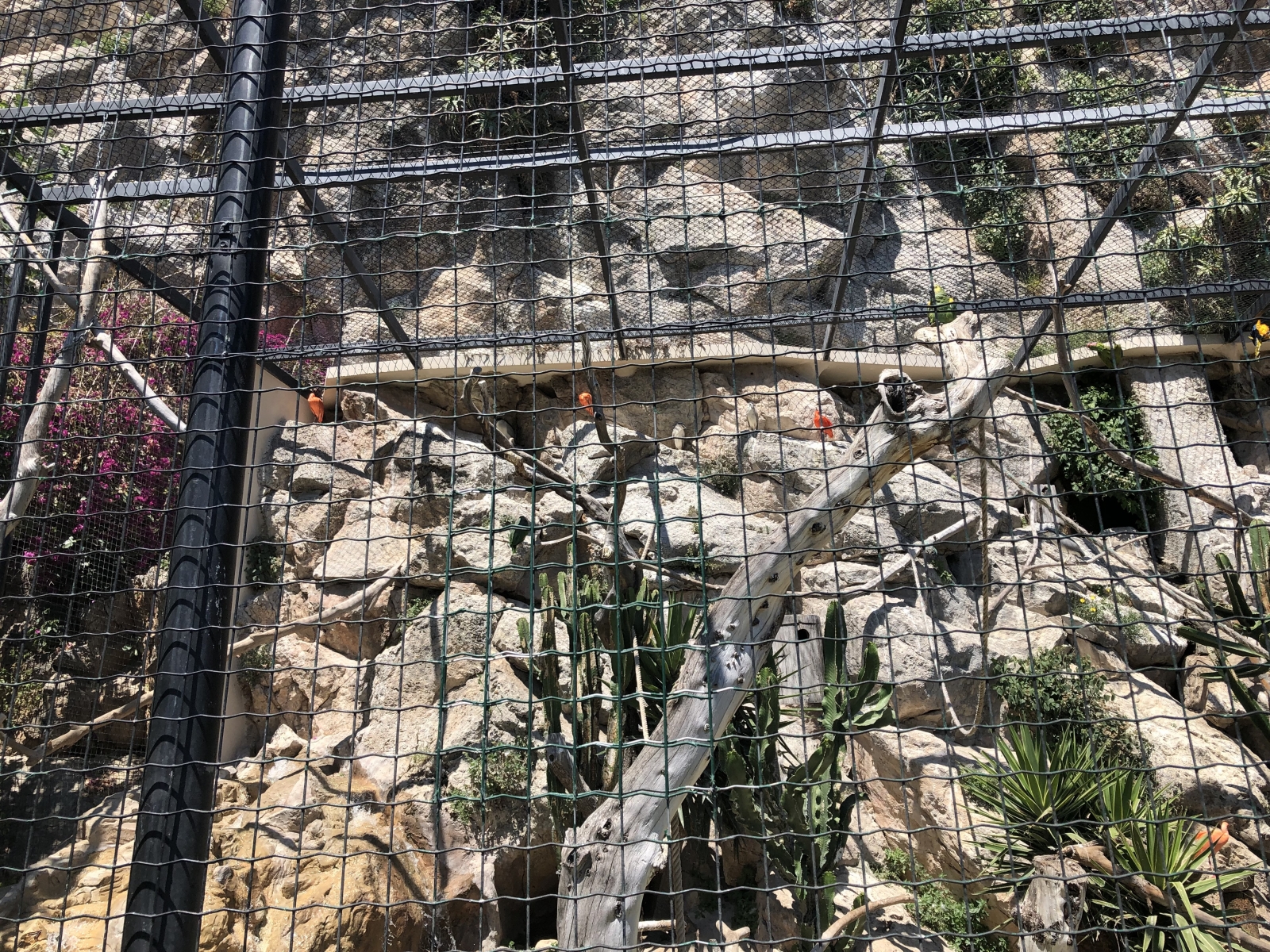 Visite du jardin animalier de Monaco
