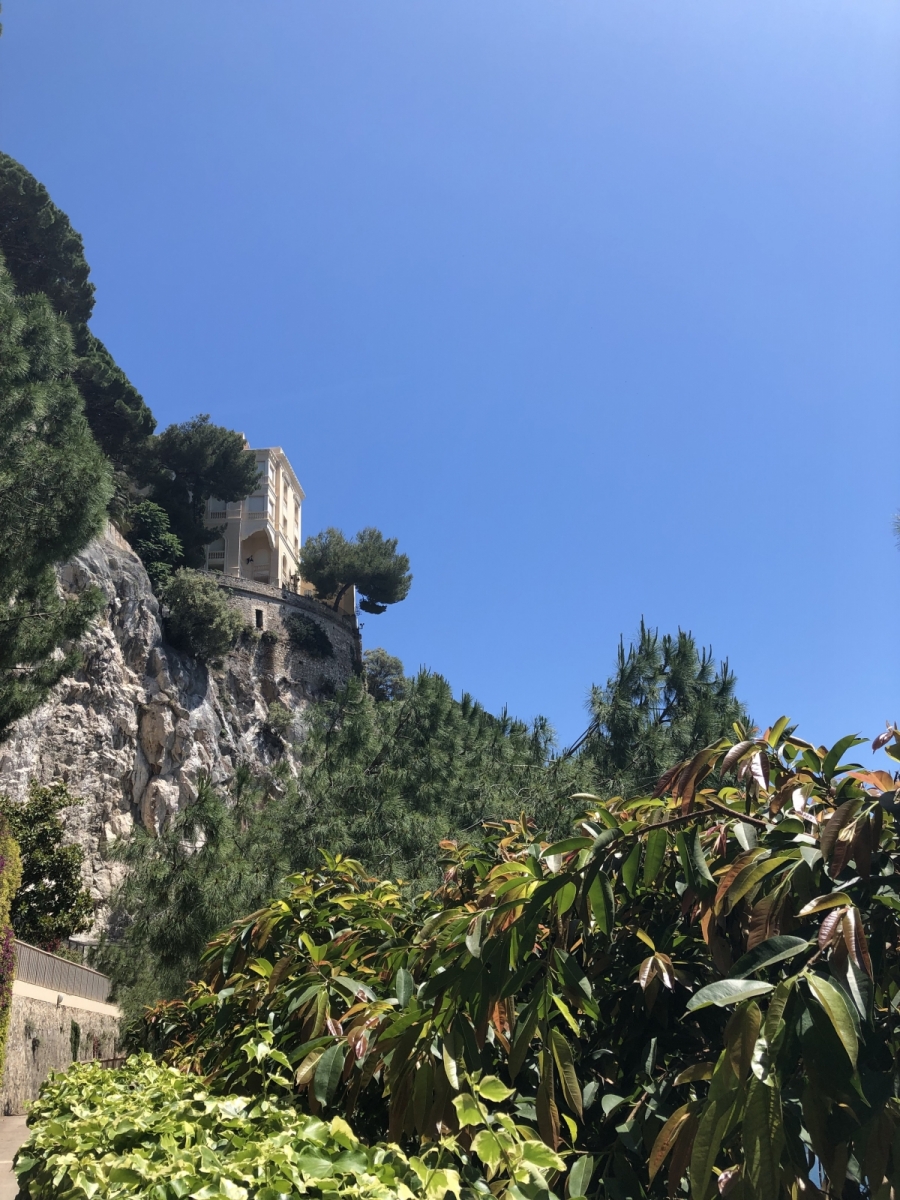 Visite du jardin animalier de Monaco
