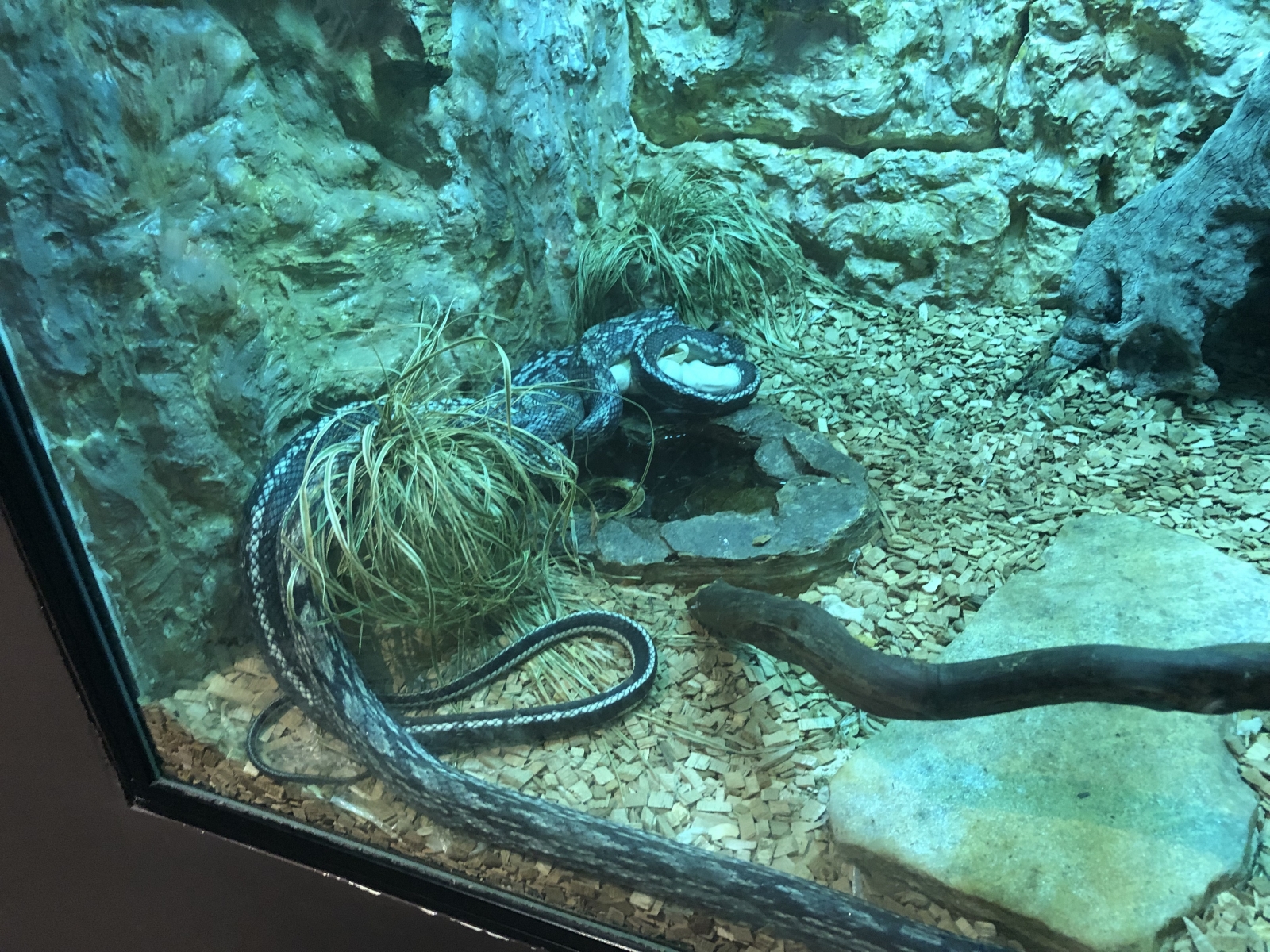 Visite du jardin animalier de Monaco