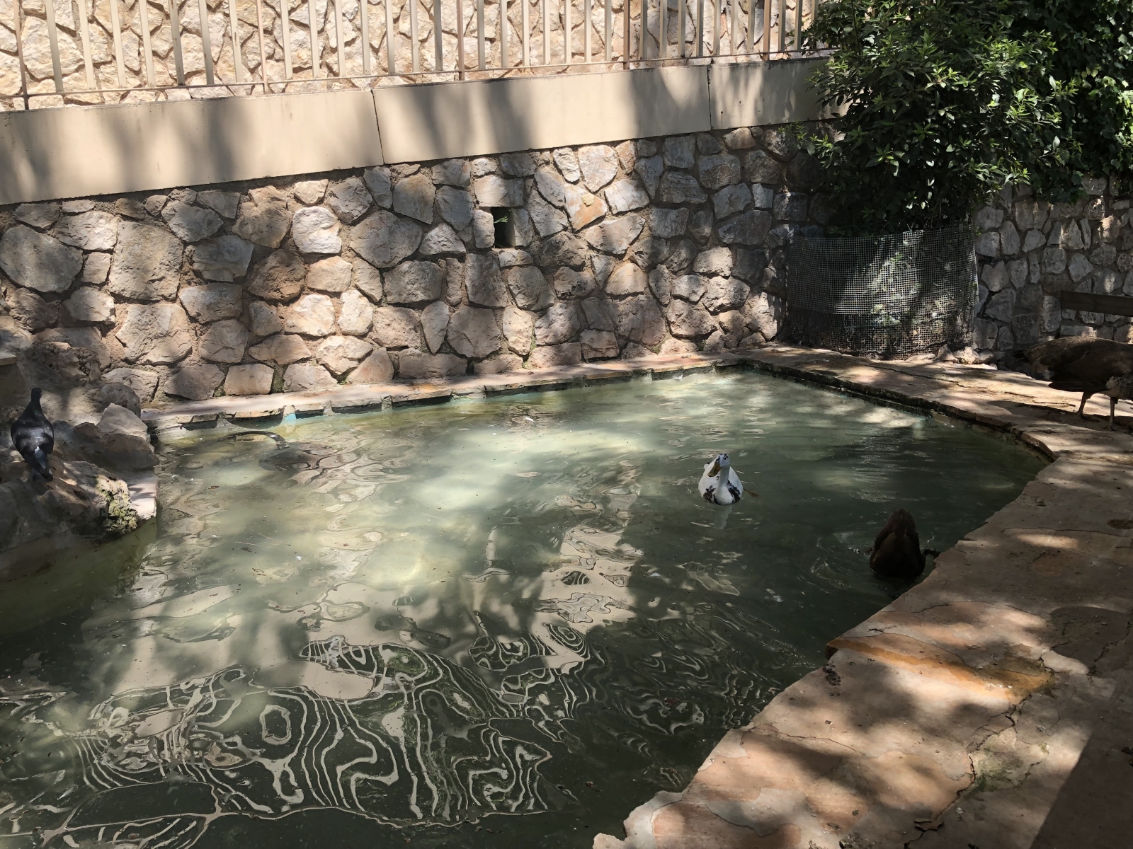 Visite du jardin animalier de Monaco