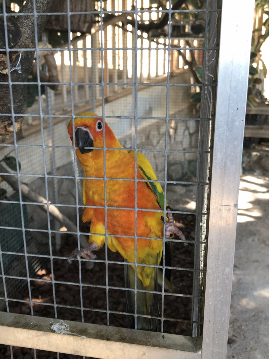 Visite du jardin animalier de Monaco