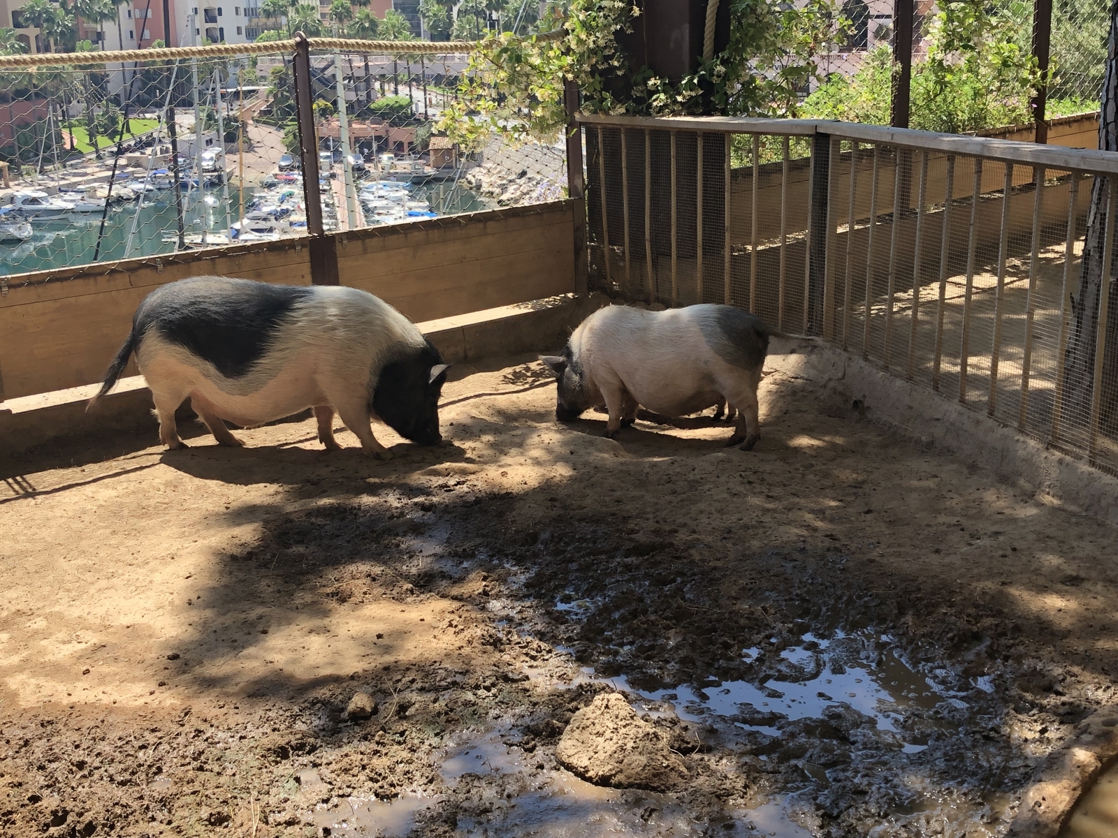 Visite du jardin animalier de Monaco