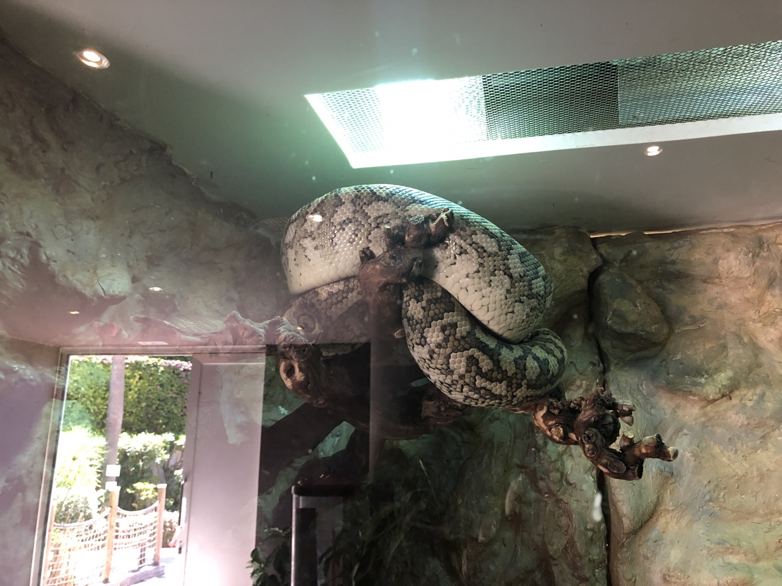 Visite du jardin animalier de Monaco