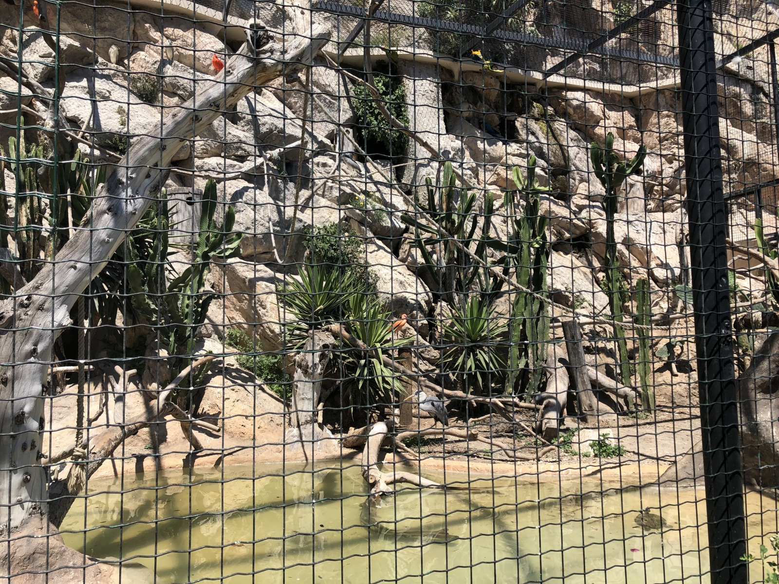 Visite du jardin animalier de Monaco
