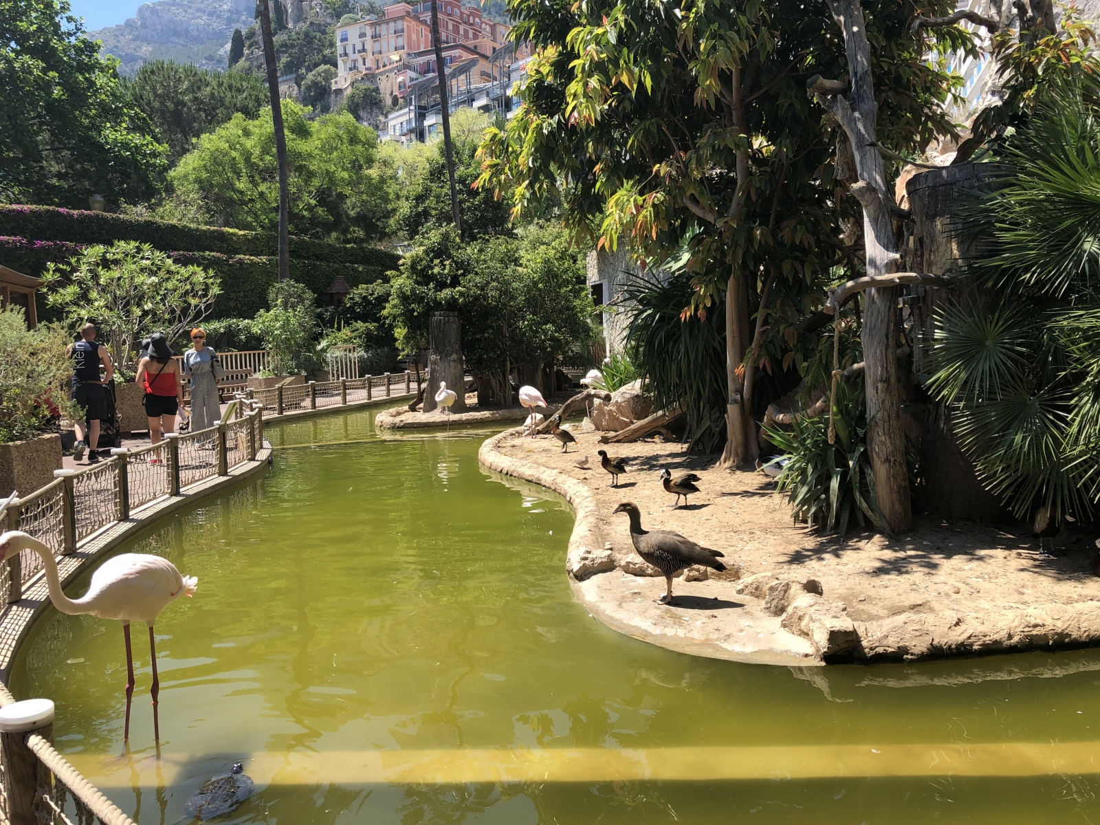 Visite du jardin animalier de Monaco