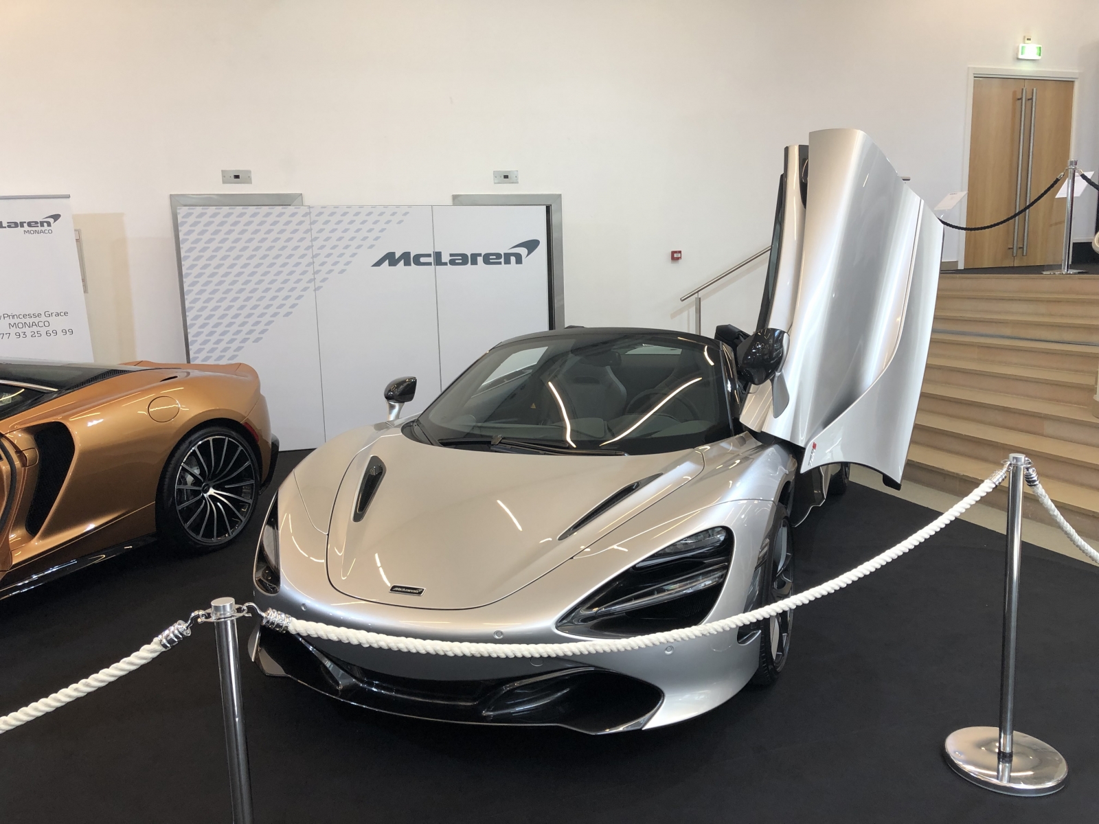 Visite du salon Top Marques 2019 à Monaco
