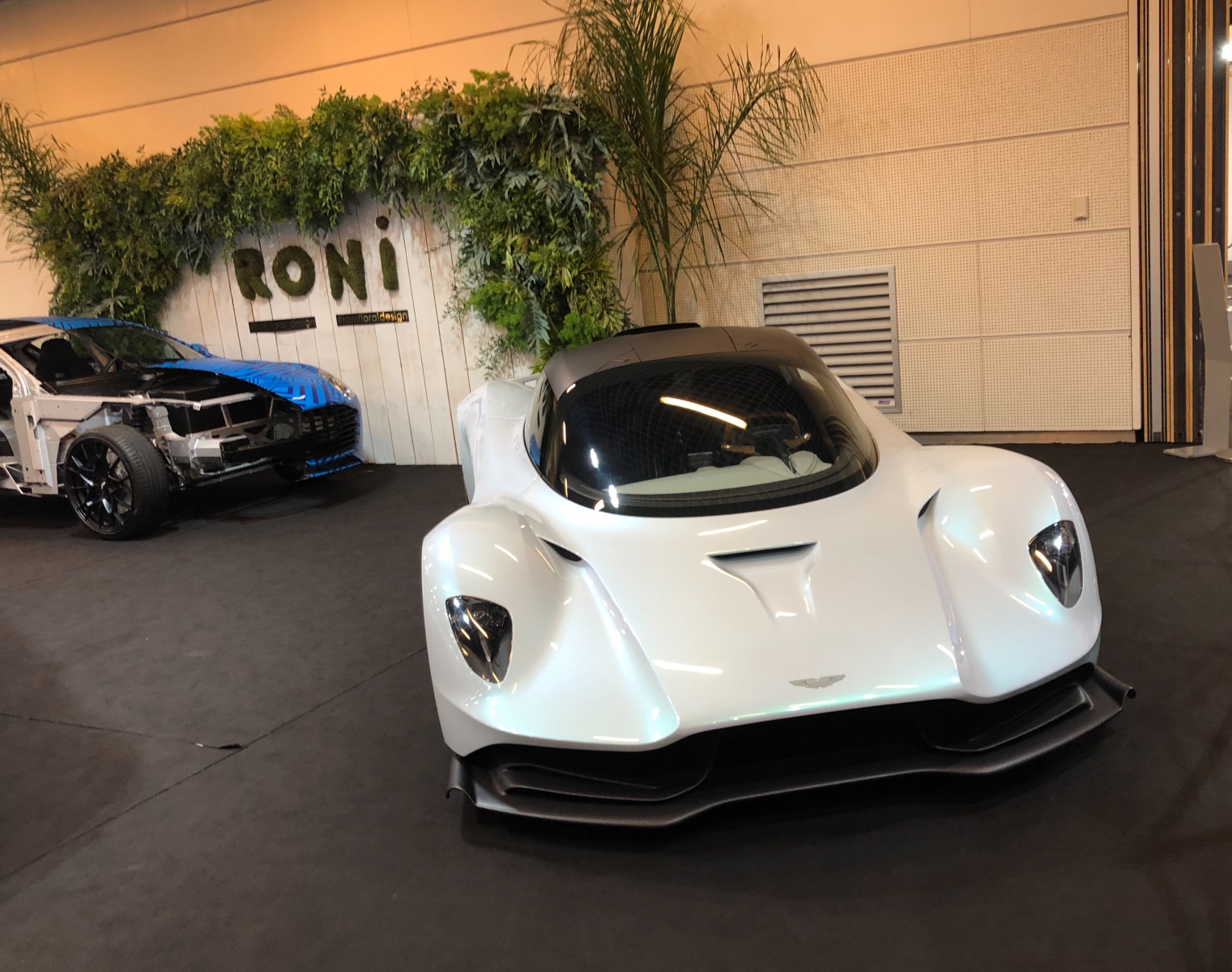 Visite du salon Top Marques 2019 à Monaco