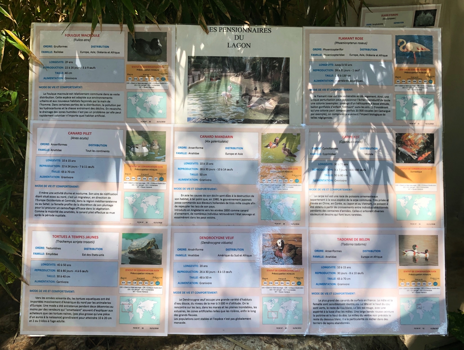 Visite du jardin animalier de Monaco