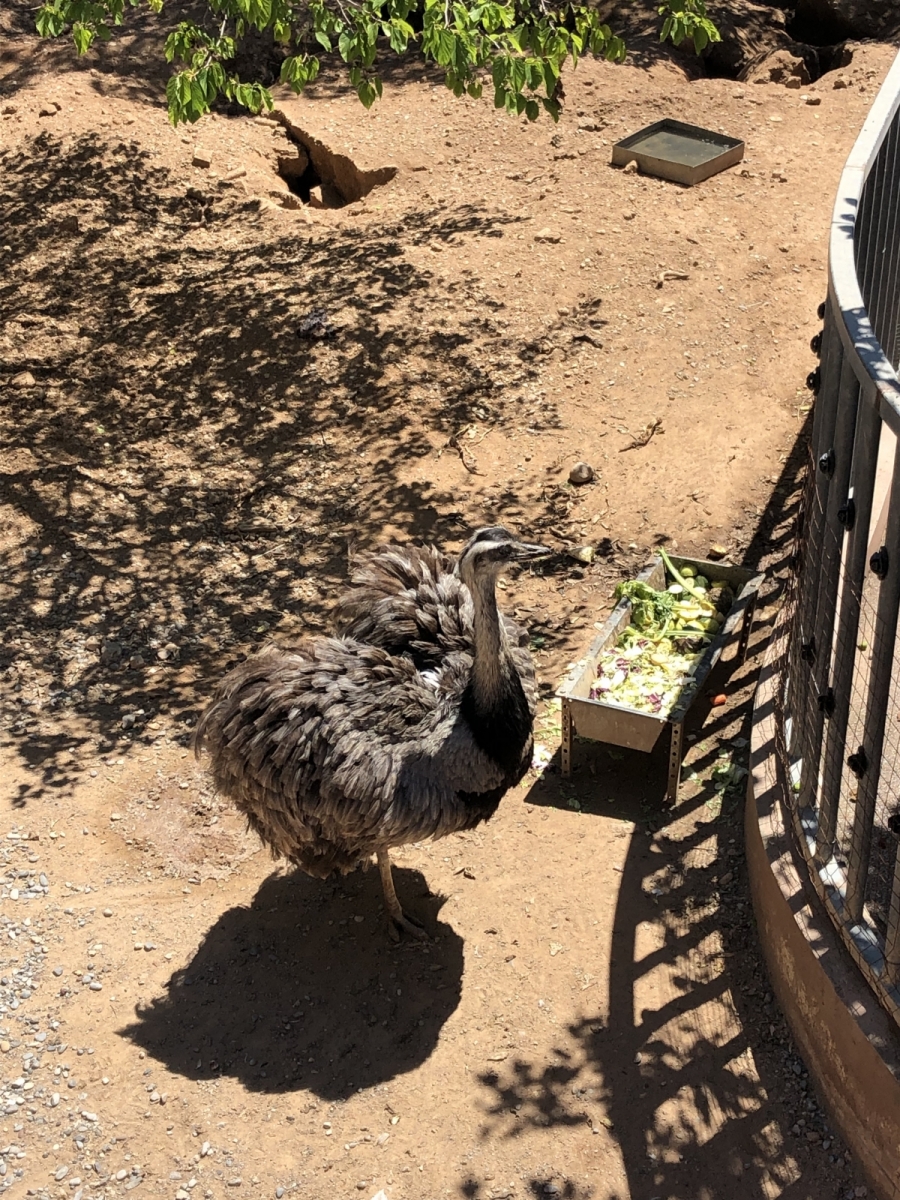 Visite du jardin animalier de Monaco