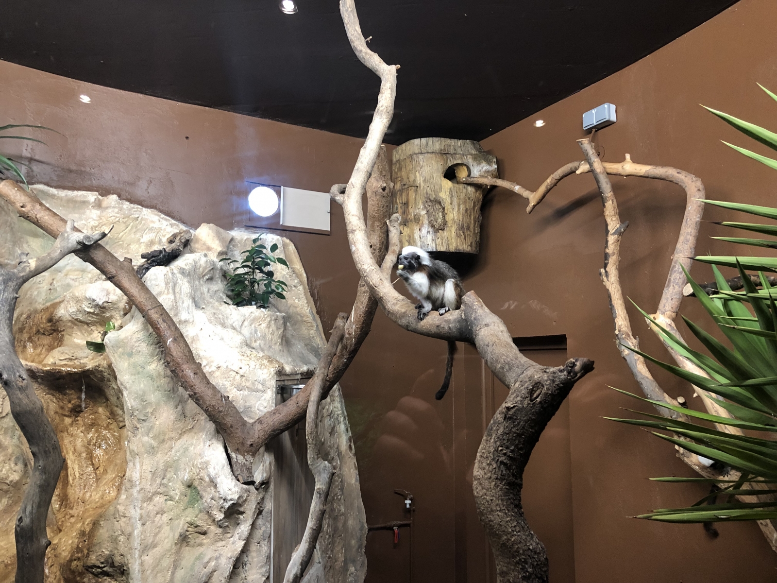 Visite du jardin animalier de Monaco