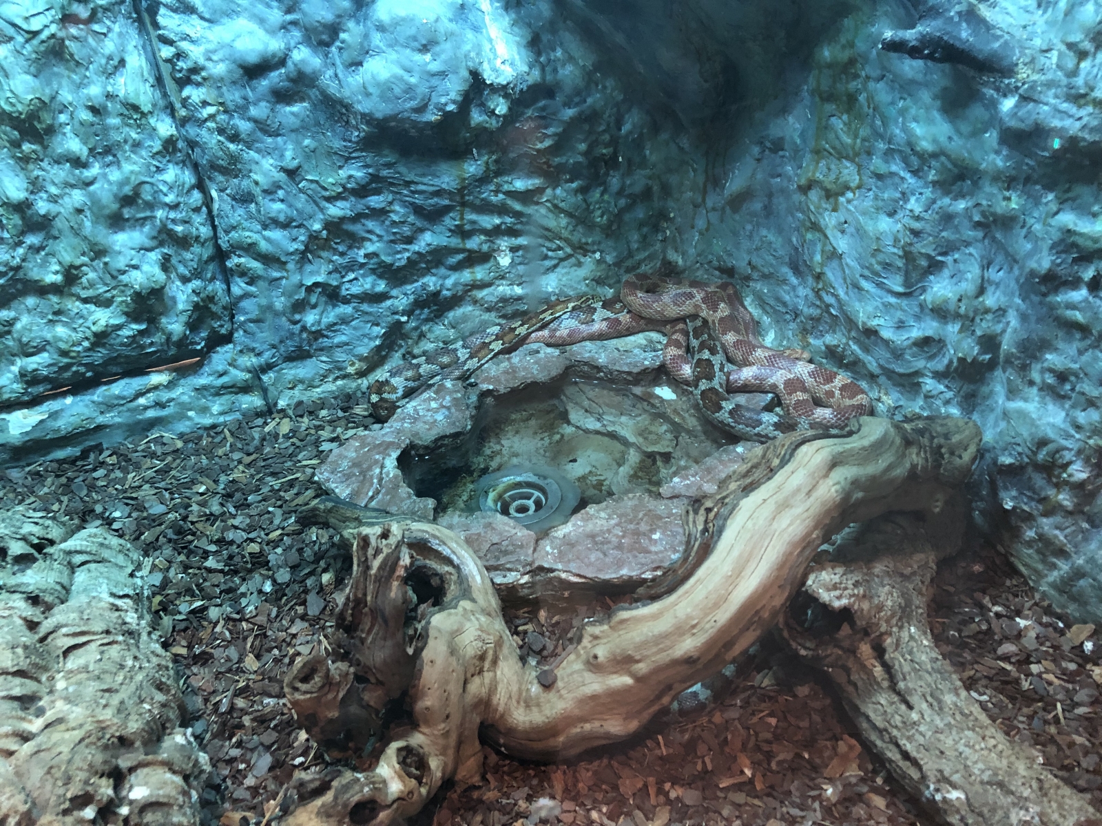 Visite du jardin animalier de Monaco
