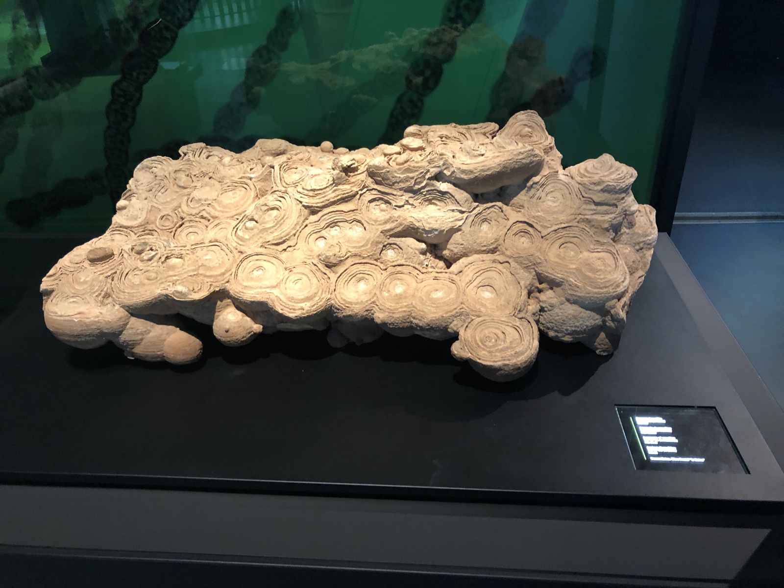 Visite du musée CosmoCaixa