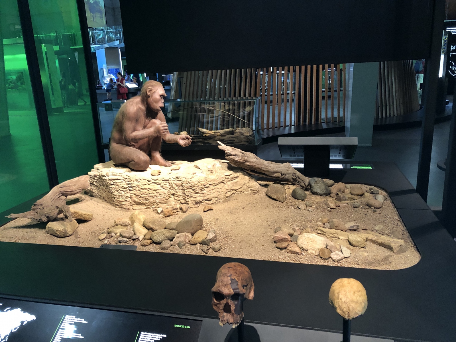 Visite du musée CosmoCaixa