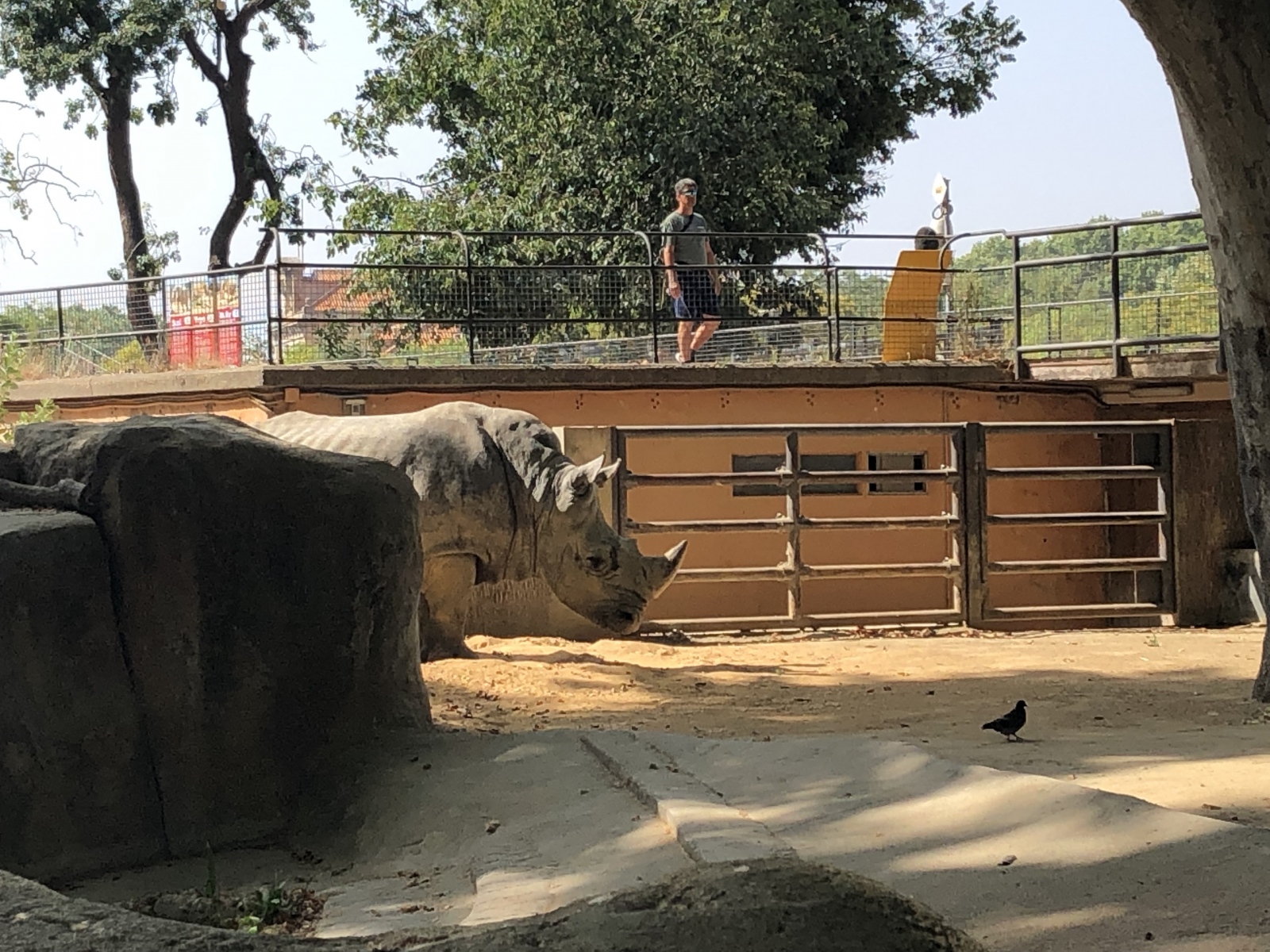 Visite du zoo de Barcelone