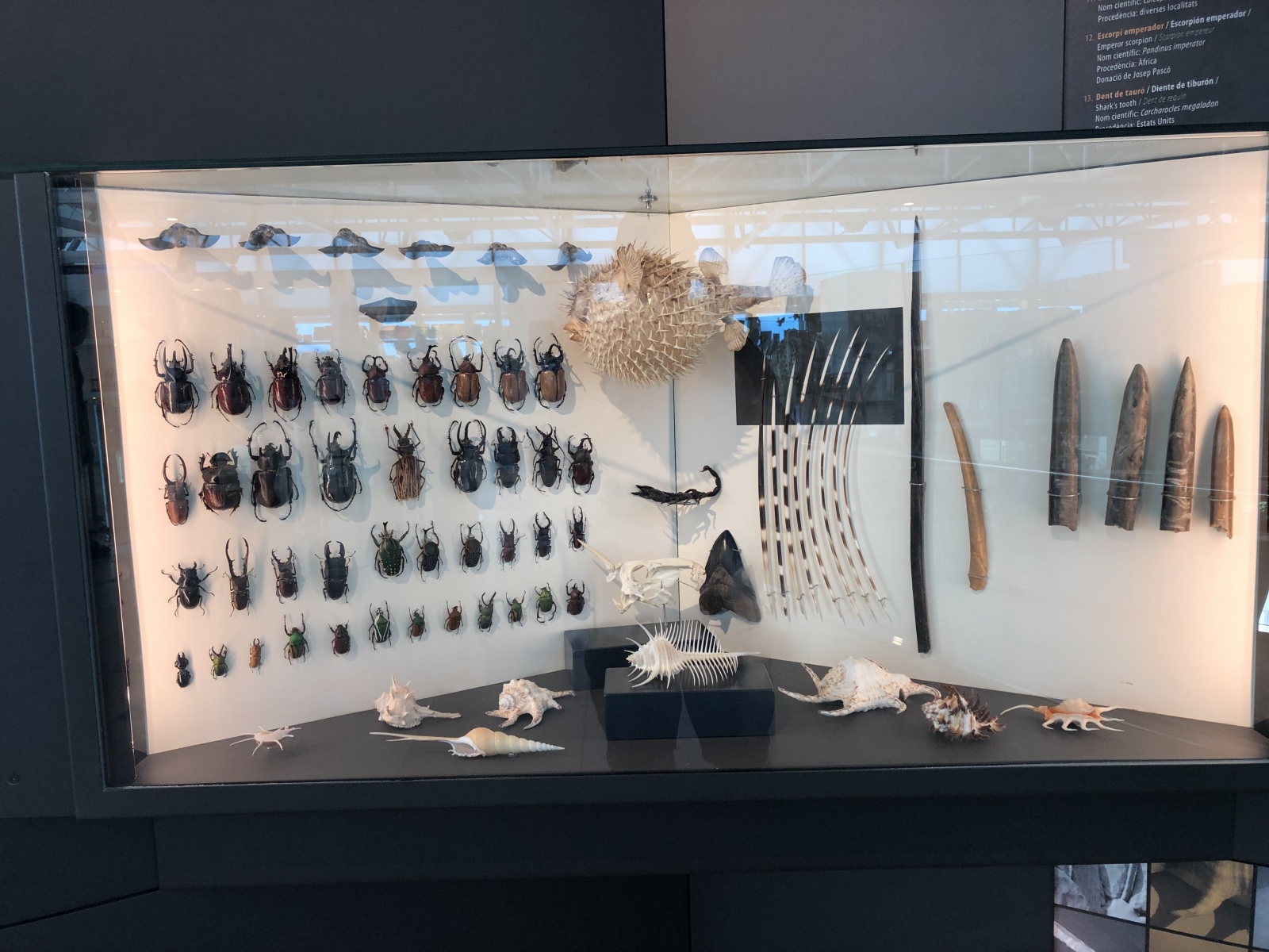 Visite du musée CosmoCaixa