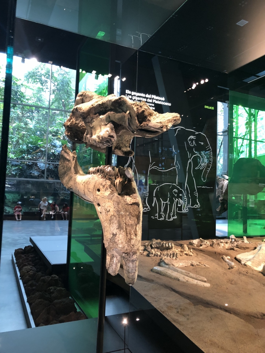 Visite du musée CosmoCaixa