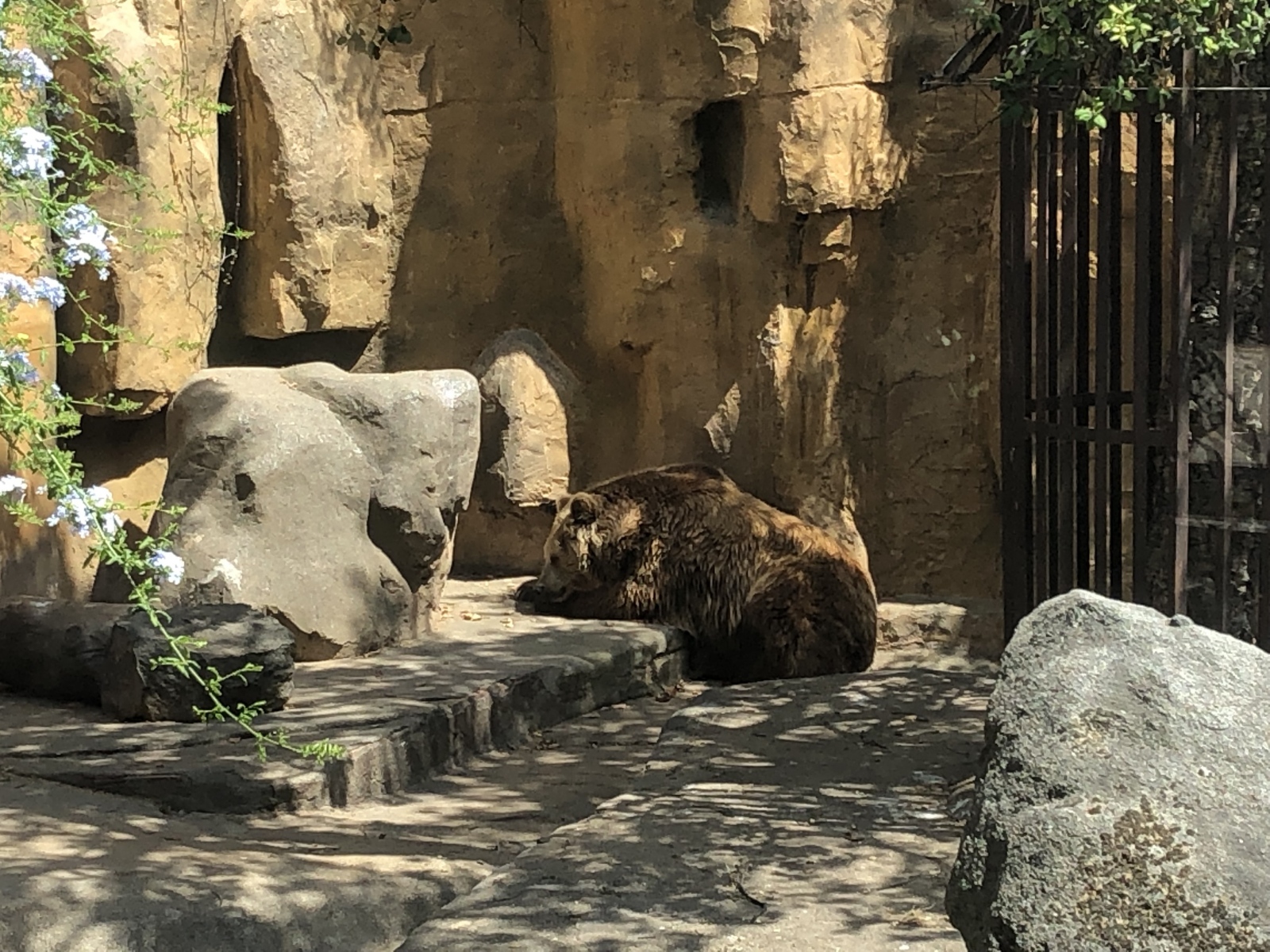Visite du zoo de Barcelone