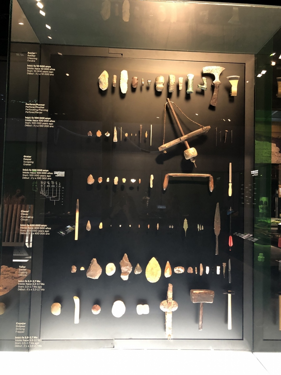 Visite du musée CosmoCaixa