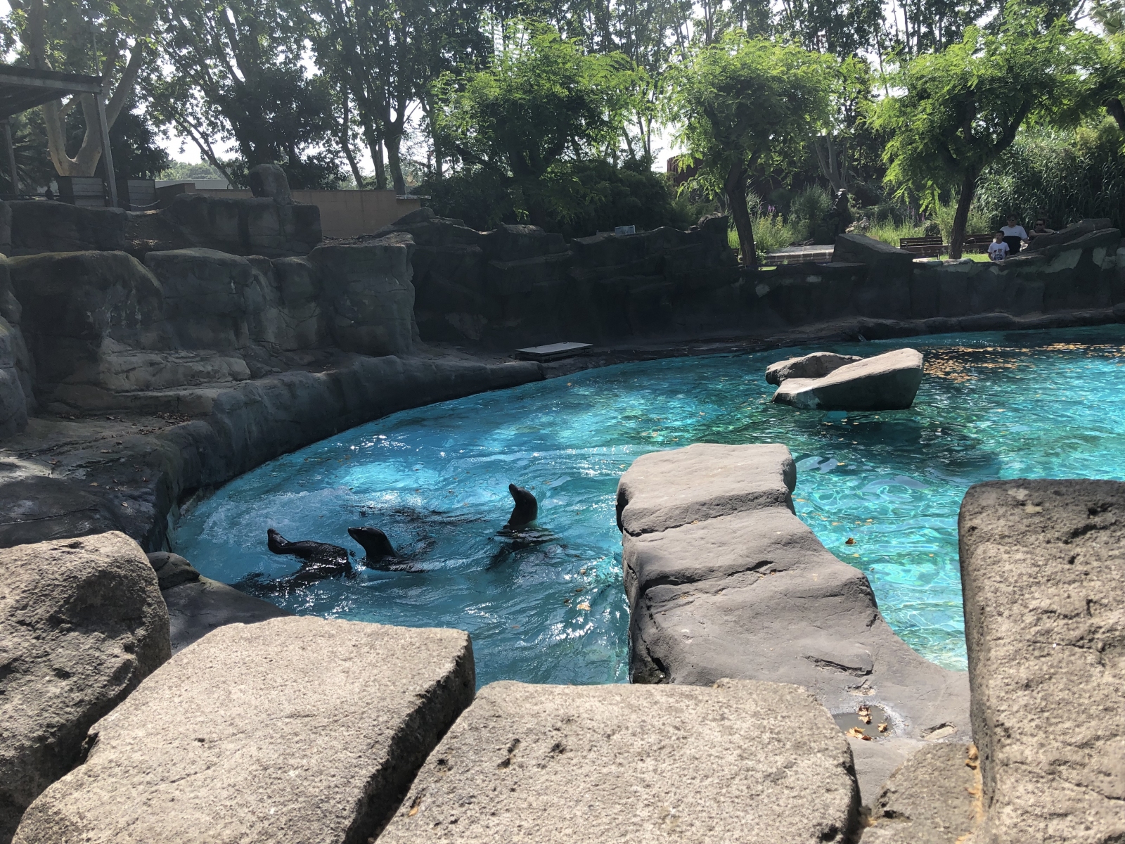 Visite du zoo de Barcelone