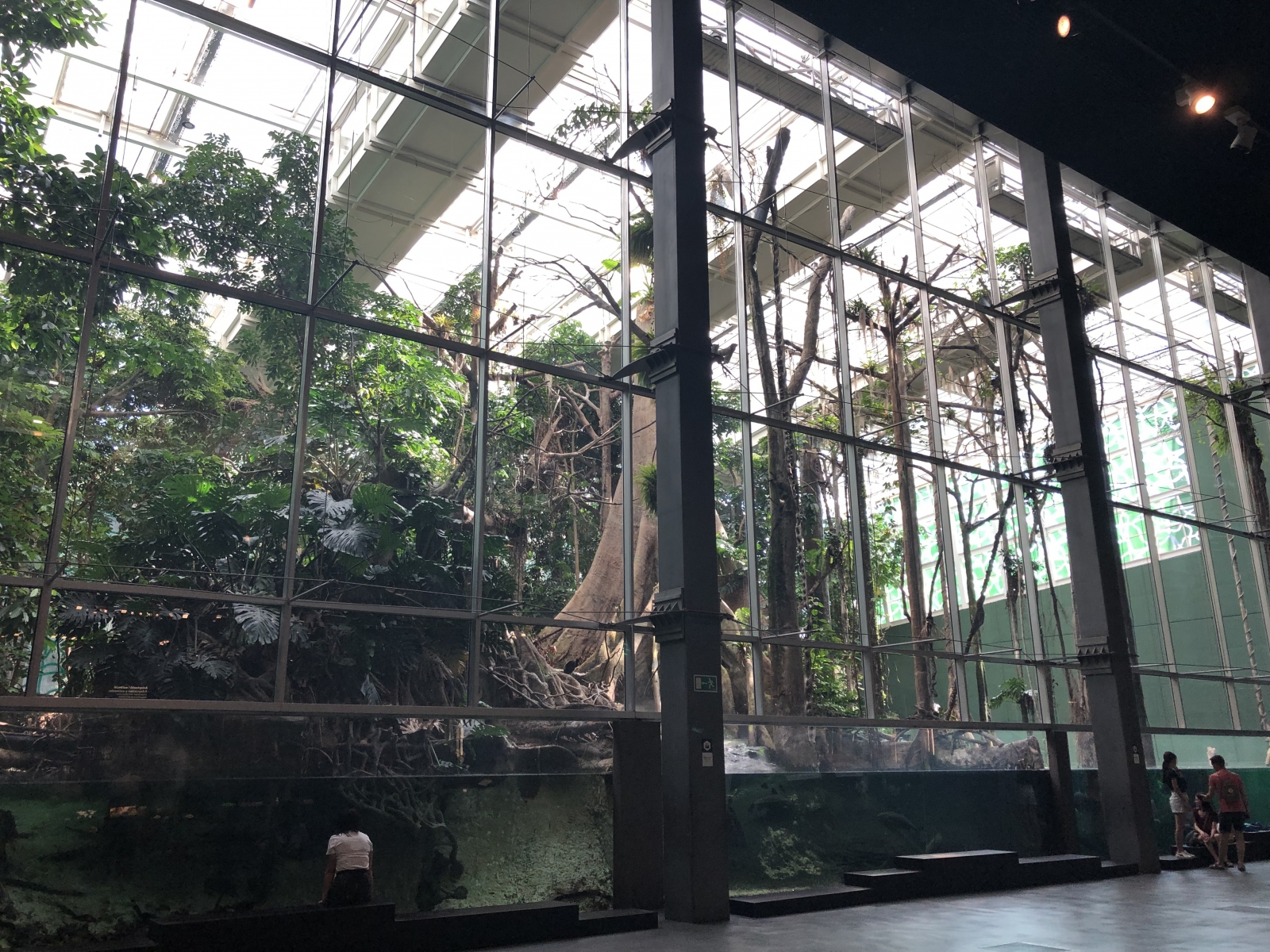 Visite du musée CosmoCaixa
