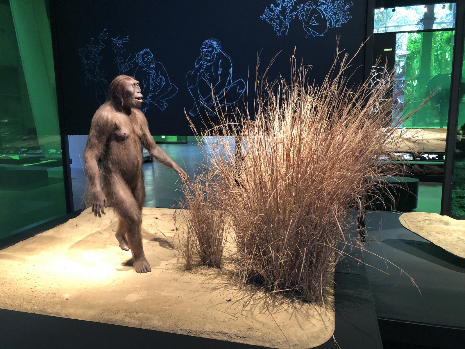 Visite du musée CosmoCaixa