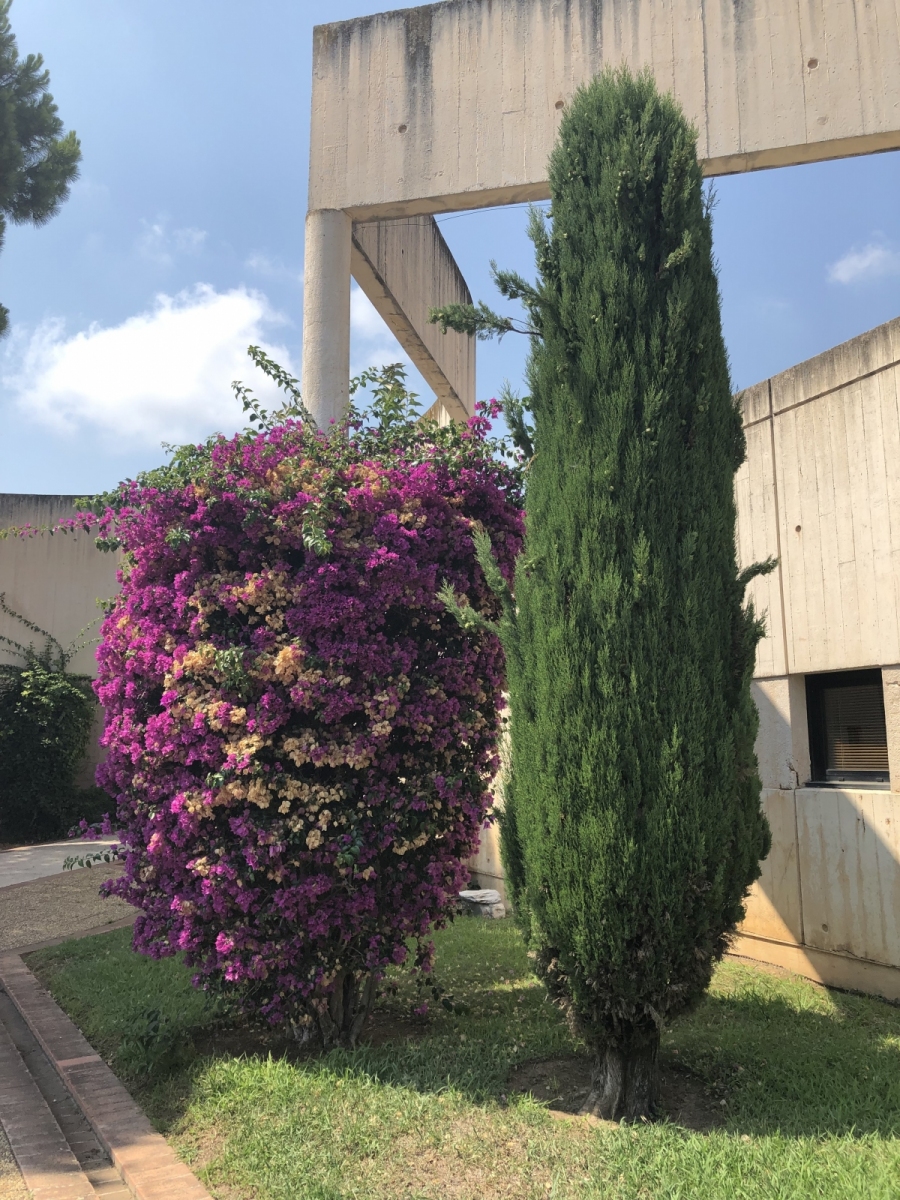 Visite de l'exposition « Entre monts et rivages. 10 ans d’archéologie à Nice et dans la Métropole »