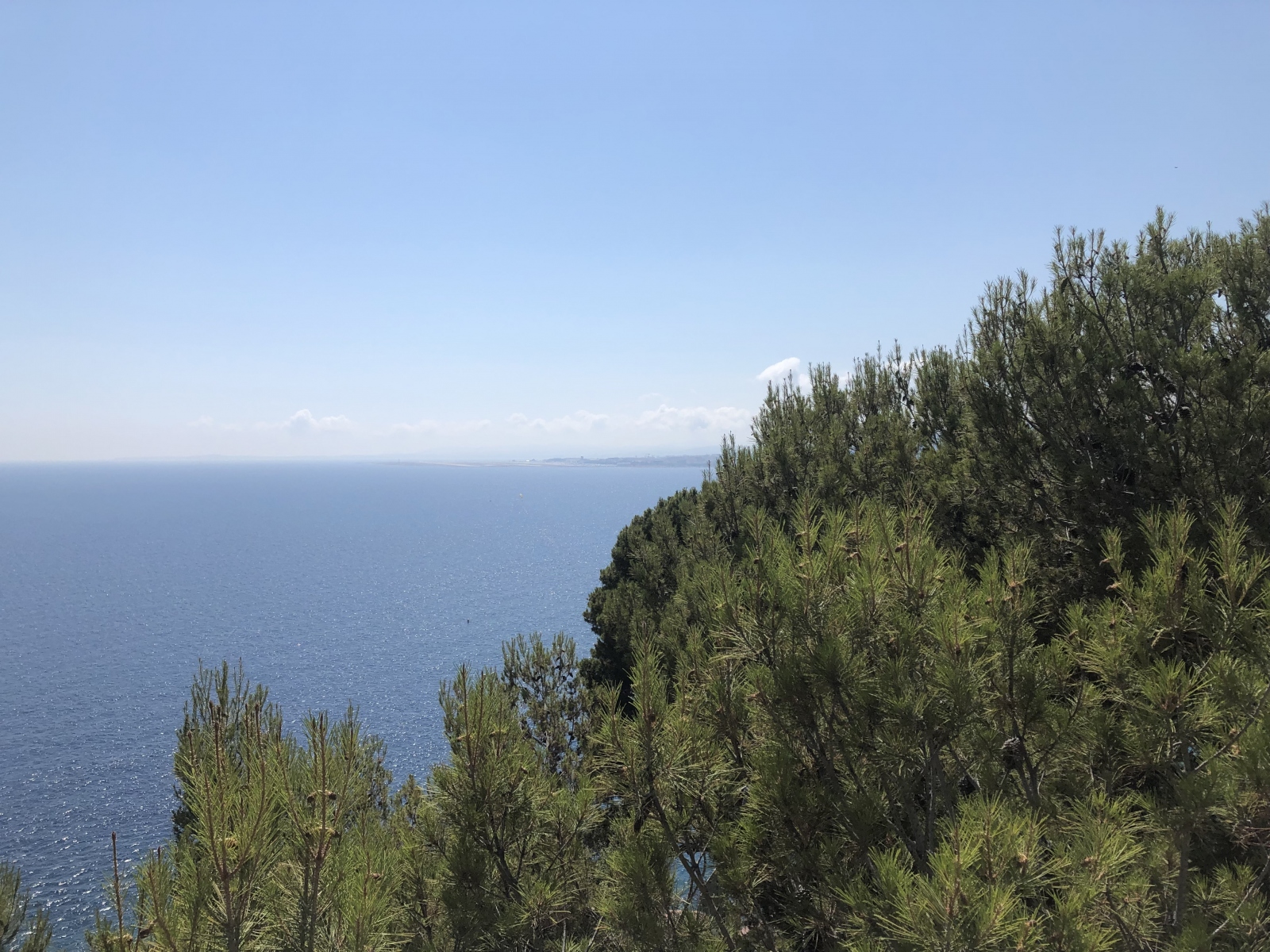 Visite guidée des fouilles archéologiques sur la colline du château de Nice