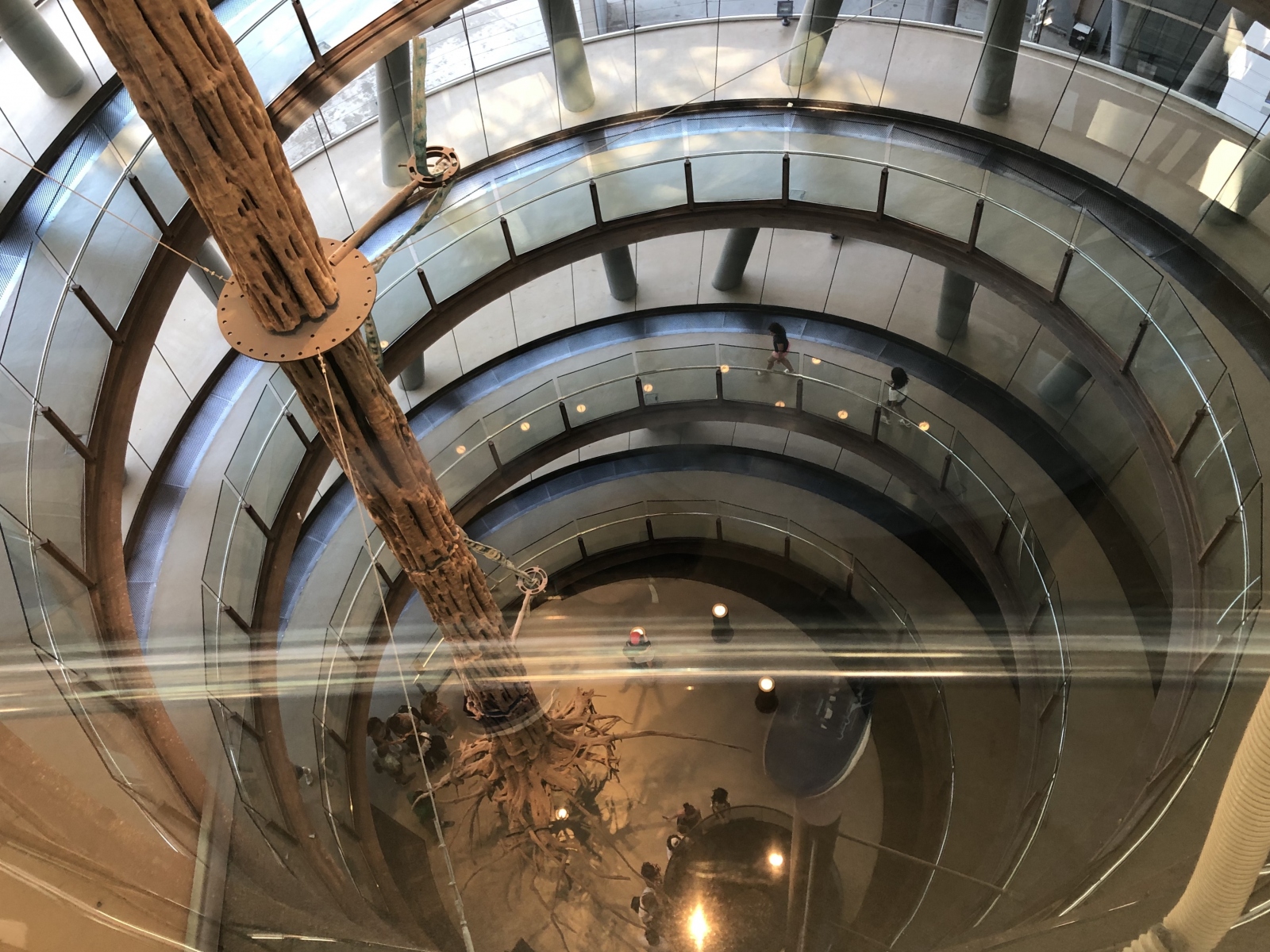 Visite du musée CosmoCaixa