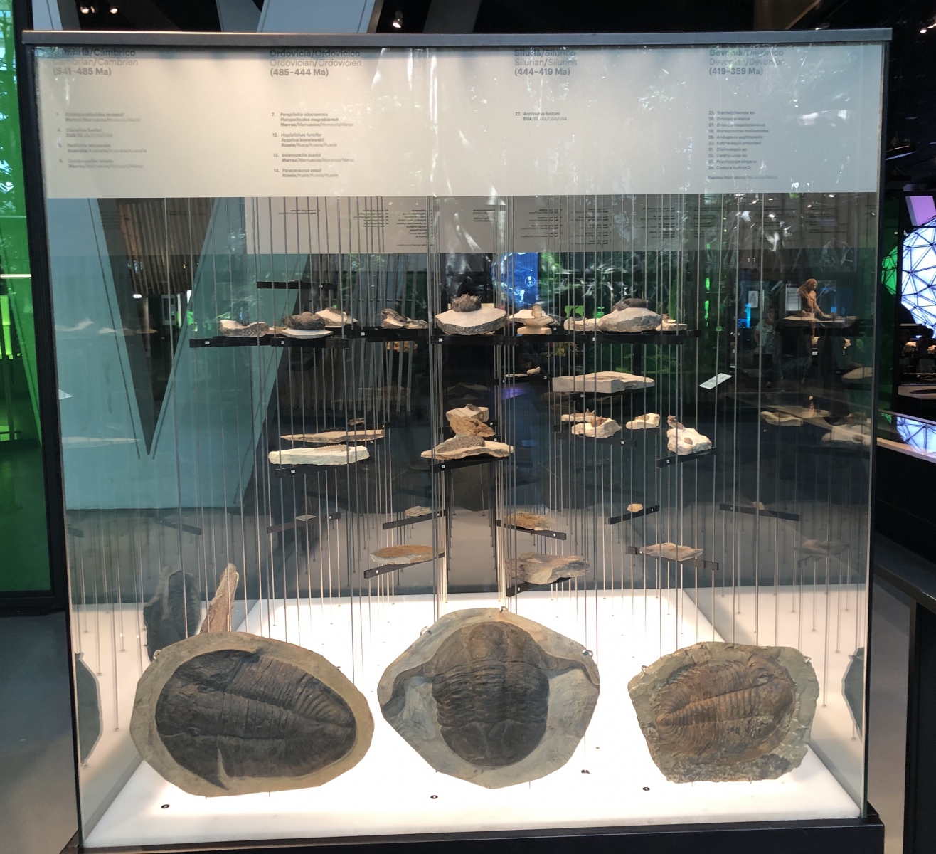 Visite du musée CosmoCaixa