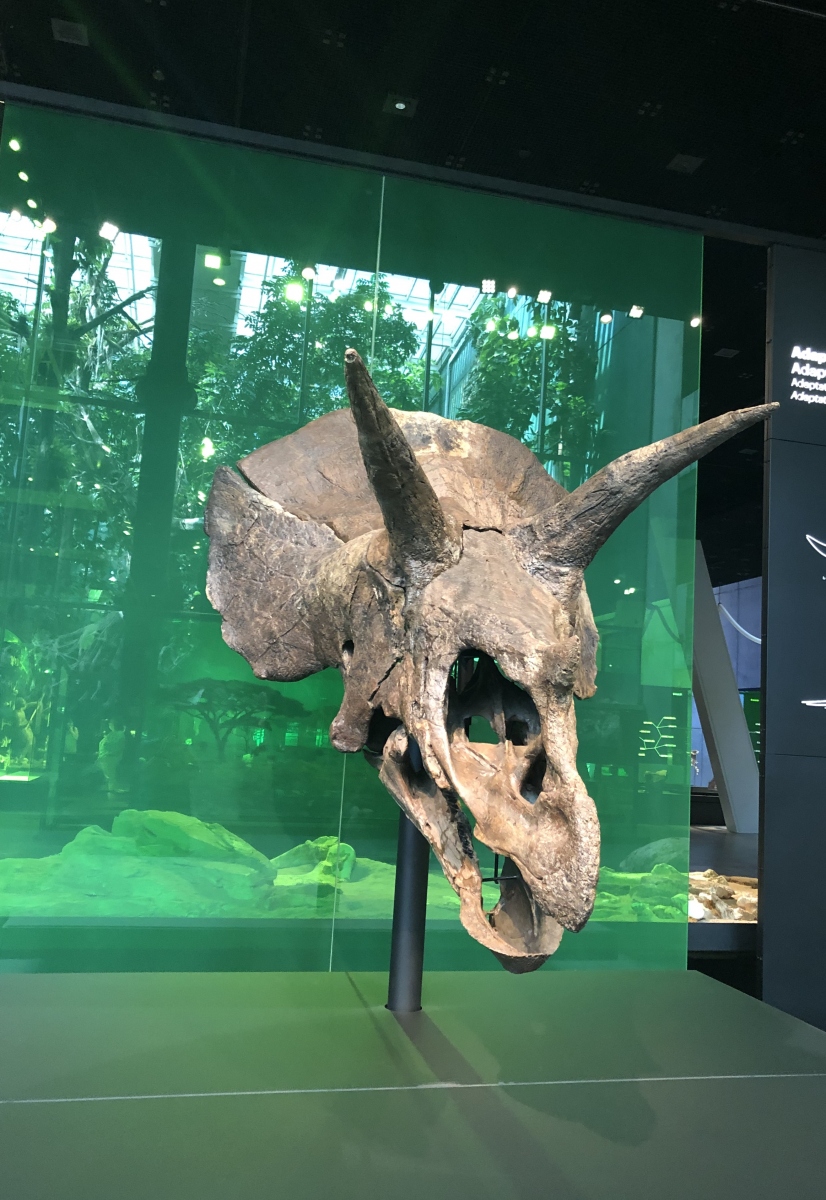 Visite du musée CosmoCaixa