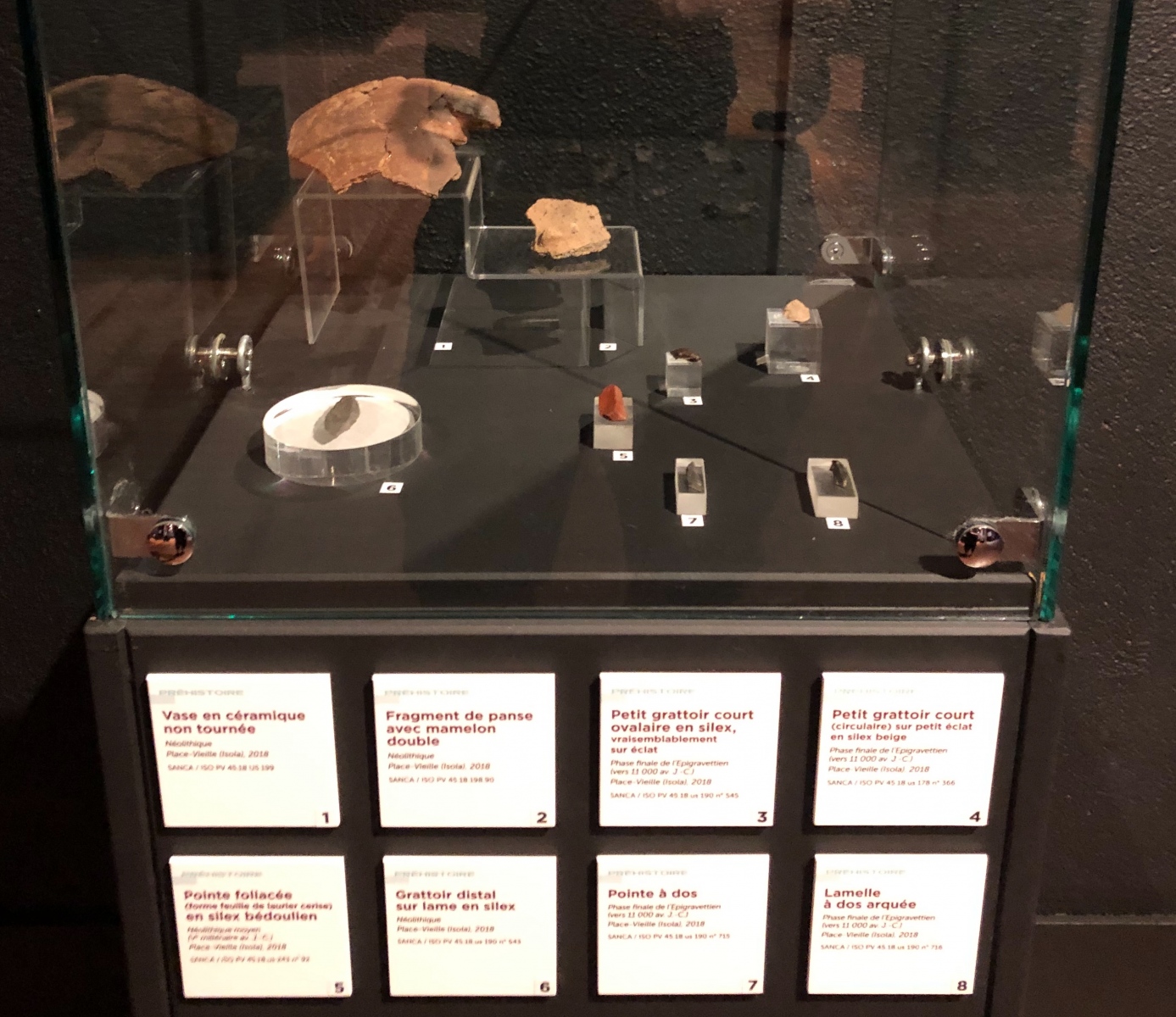 Visite de l'exposition « Entre monts et rivages. 10 ans d’archéologie à Nice et dans la Métropole »