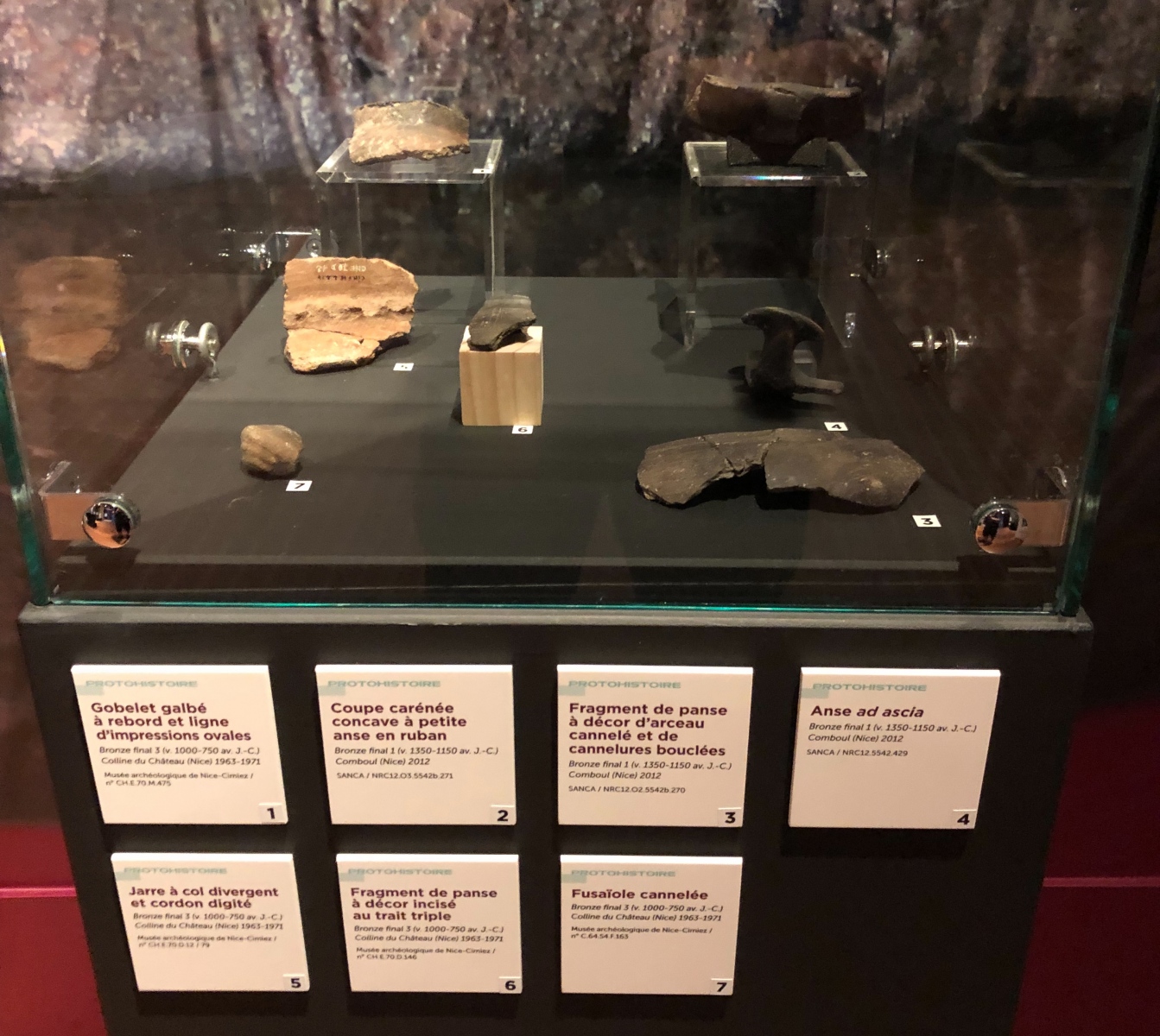 Visite de l'exposition « Entre monts et rivages. 10 ans d’archéologie à Nice et dans la Métropole »