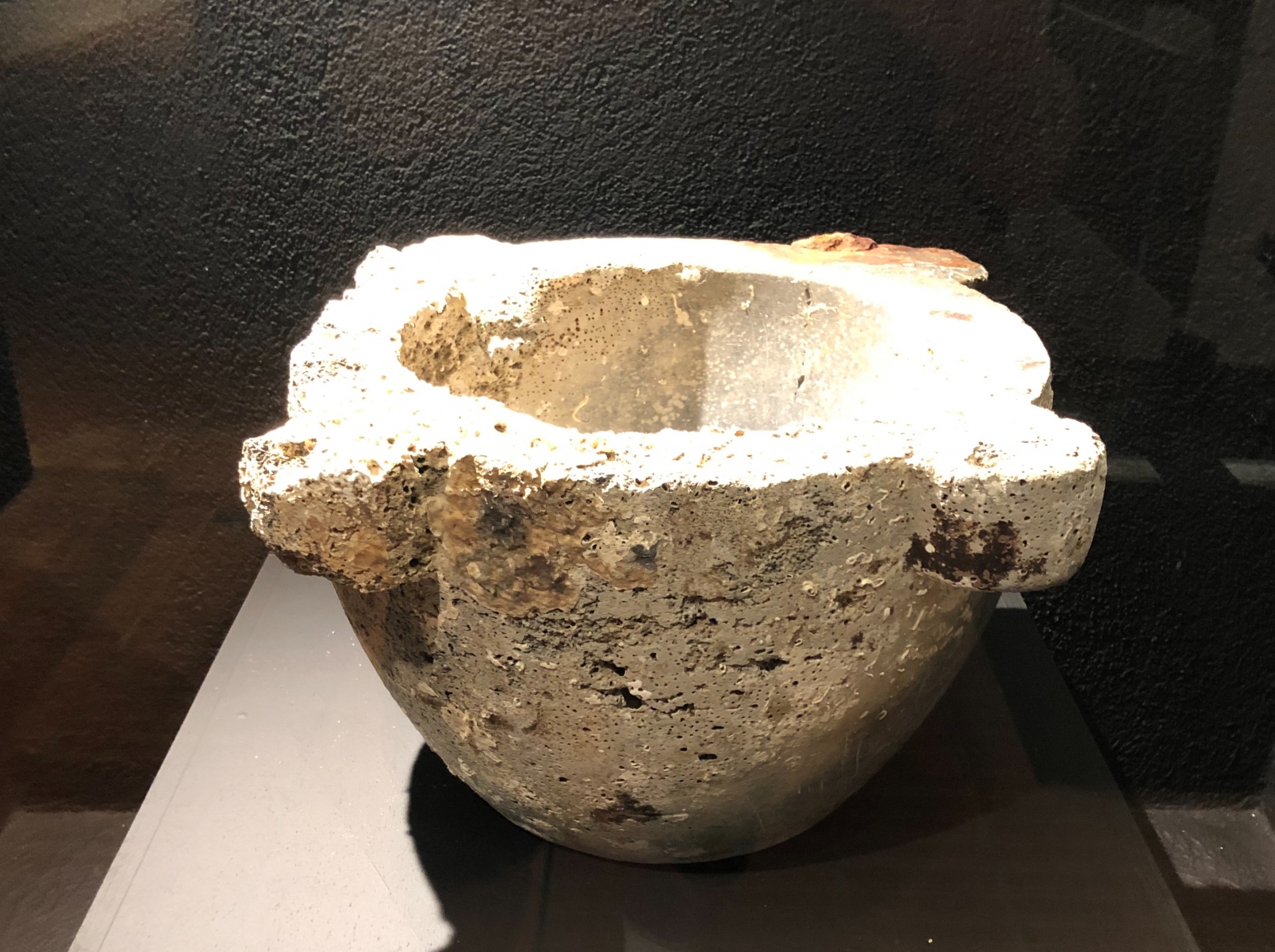 Visite de l'exposition « Entre monts et rivages. 10 ans d’archéologie à Nice et dans la Métropole »