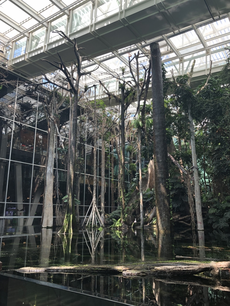 Visite du musée CosmoCaixa