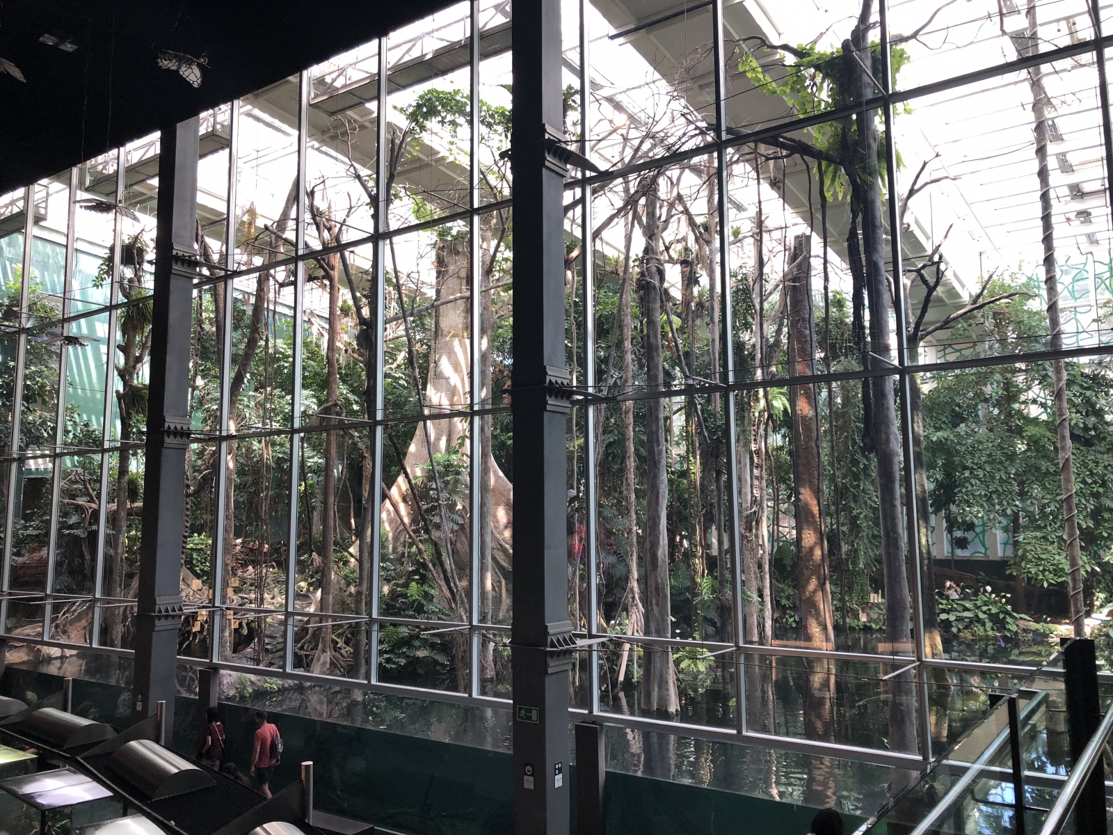 Visite du musée CosmoCaixa