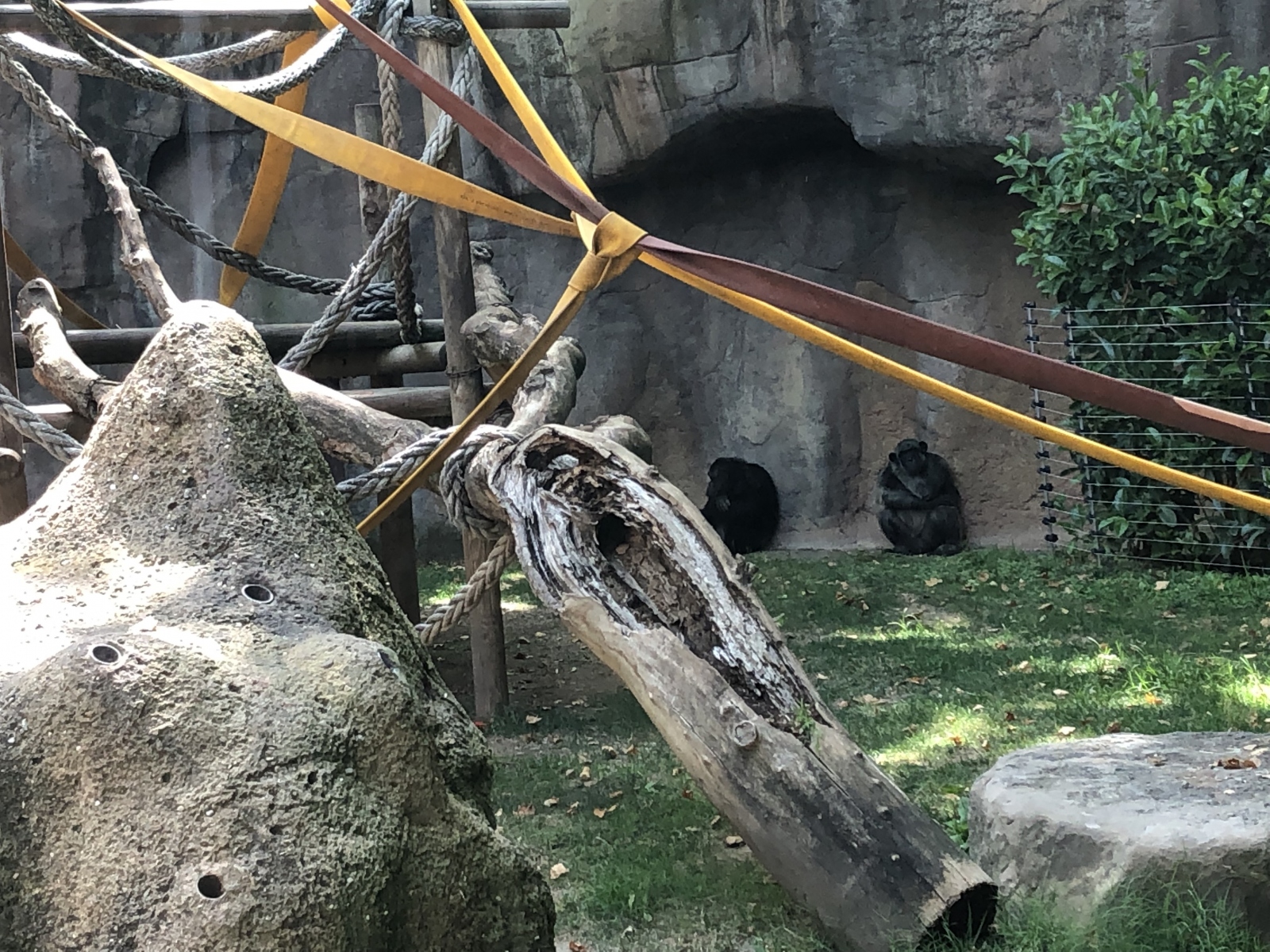 Visite du zoo de Barcelone