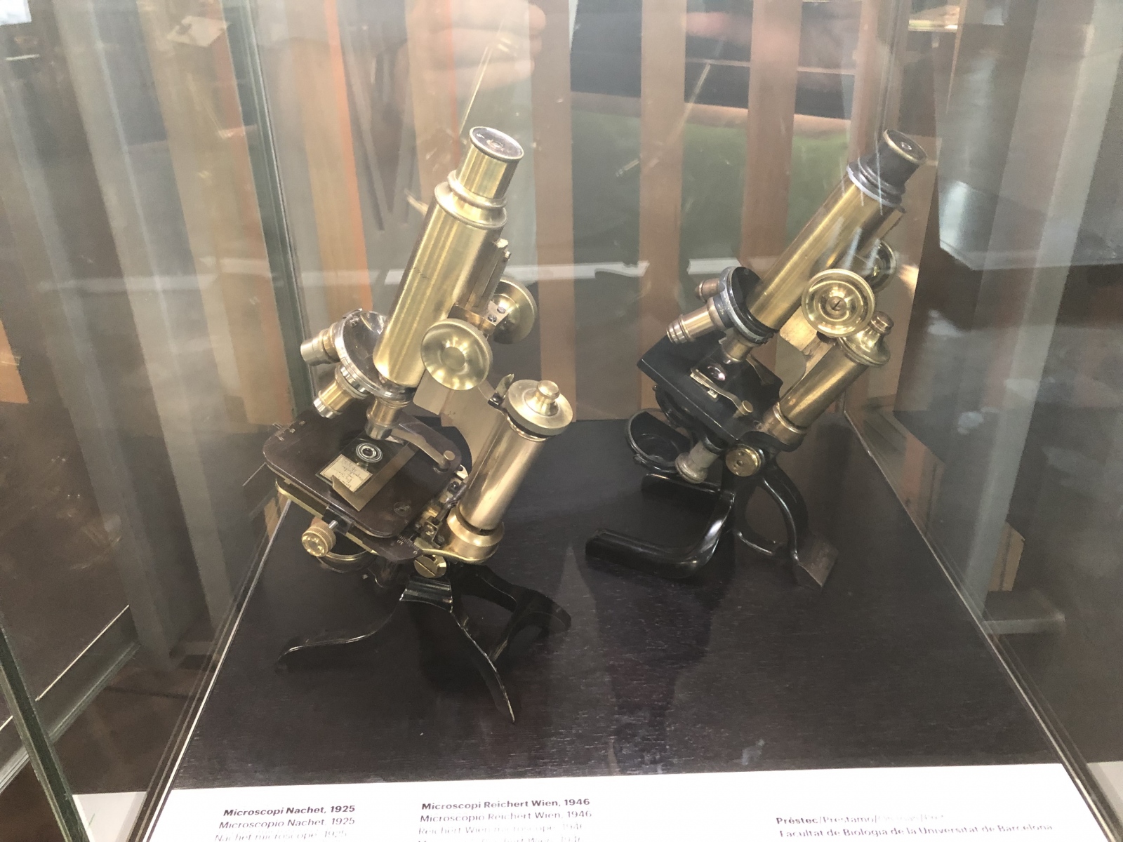 Visite du musée CosmoCaixa