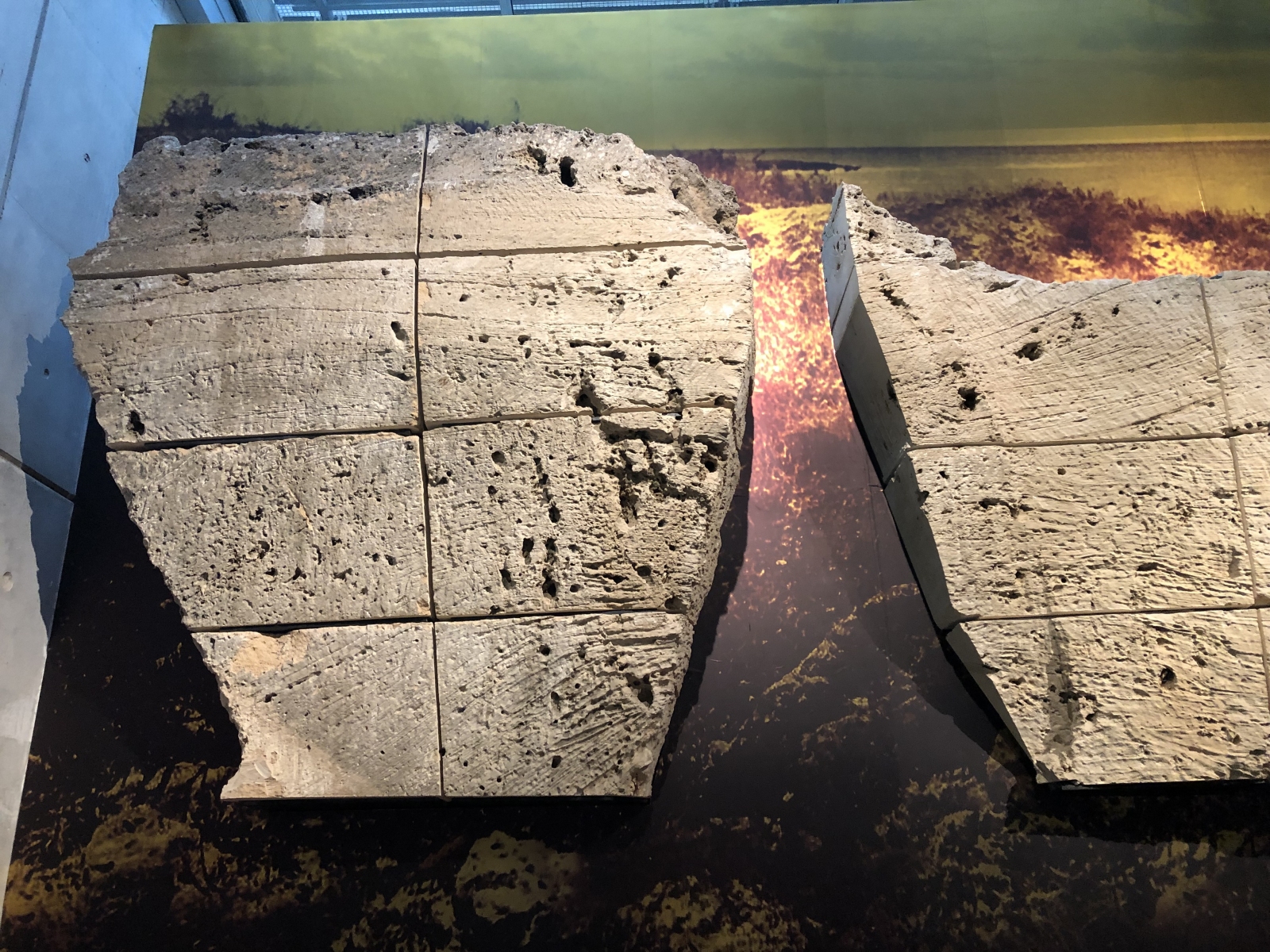Visite du musée CosmoCaixa