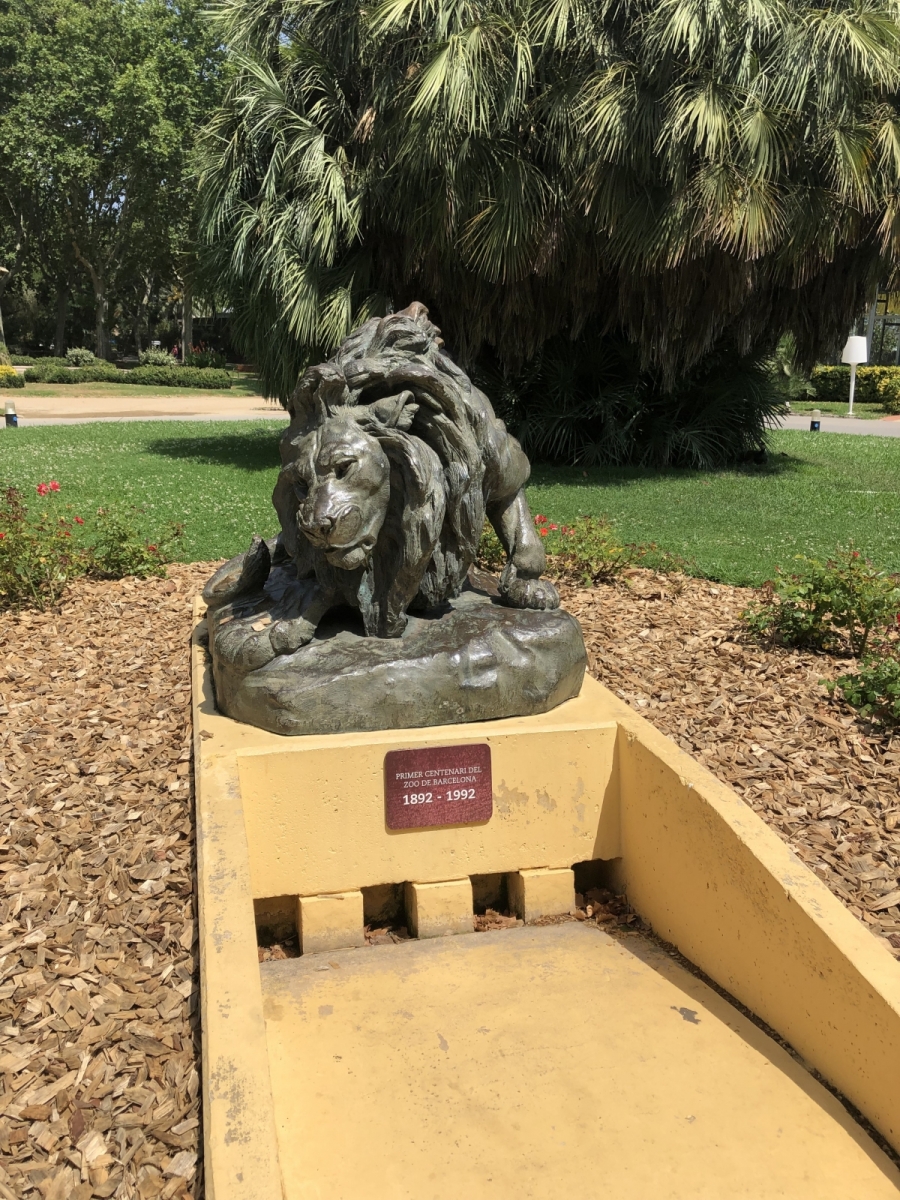 Visite du zoo de Barcelone