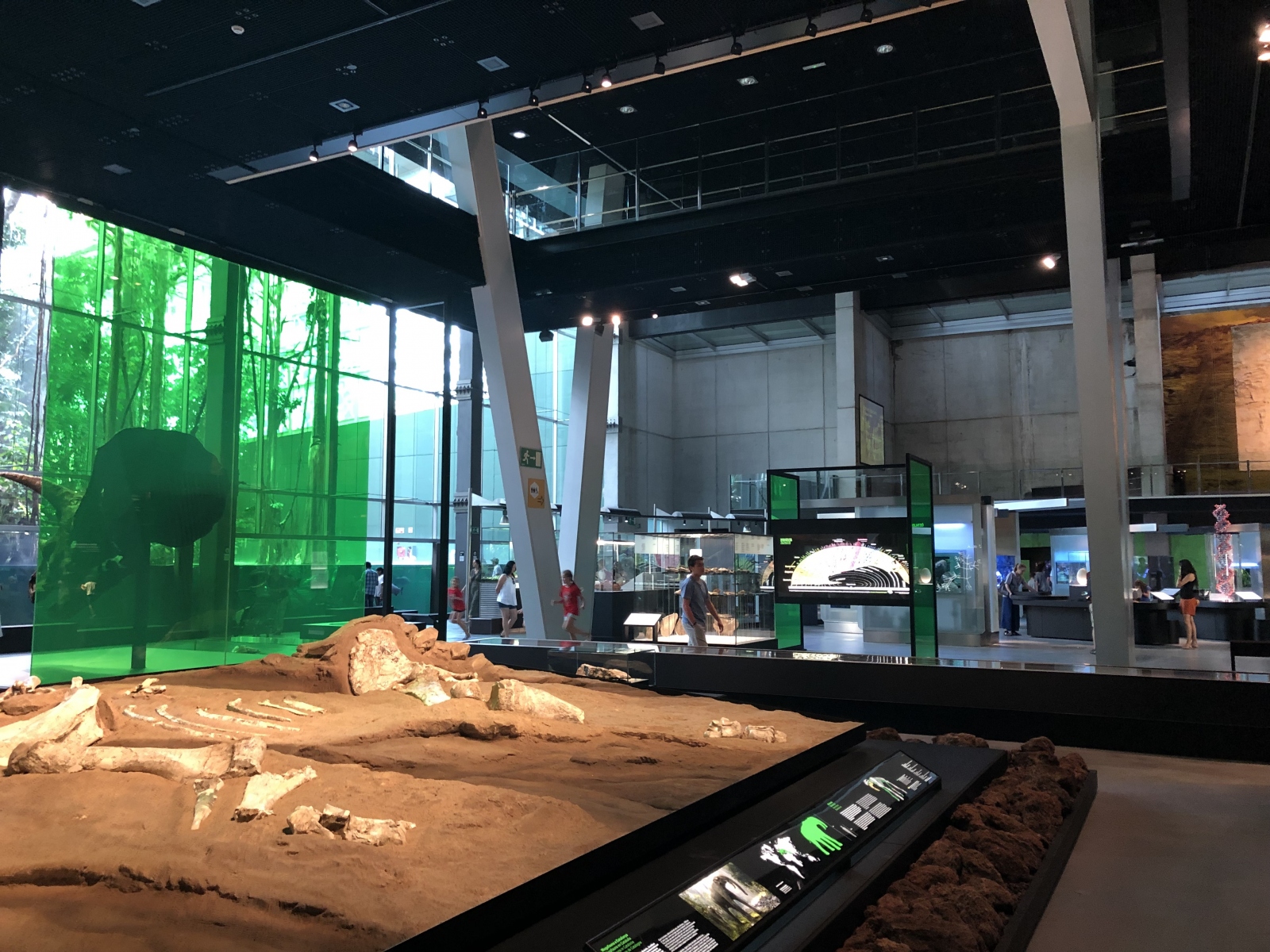 Visite du musée CosmoCaixa