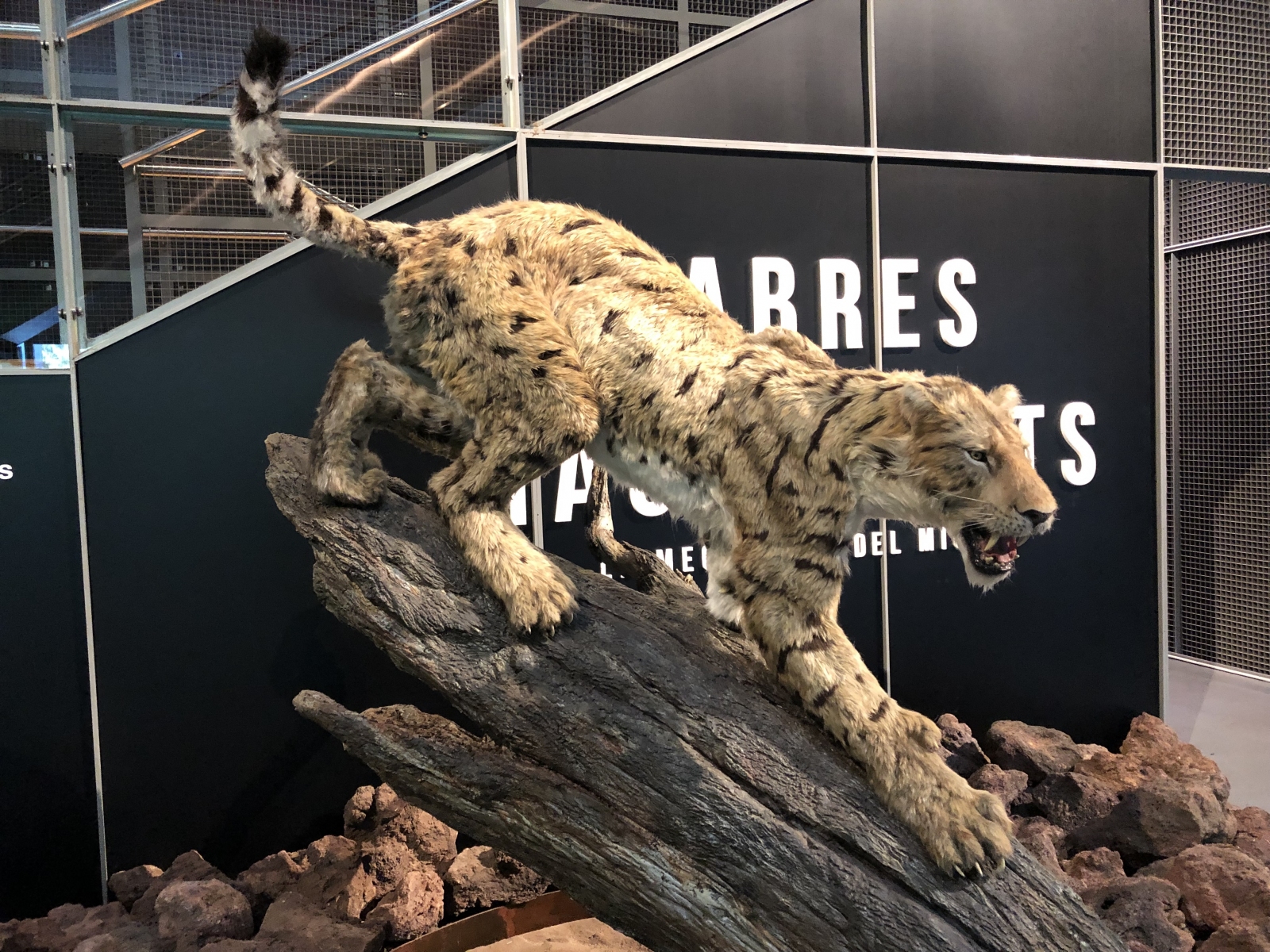 Visite du musée CosmoCaixa