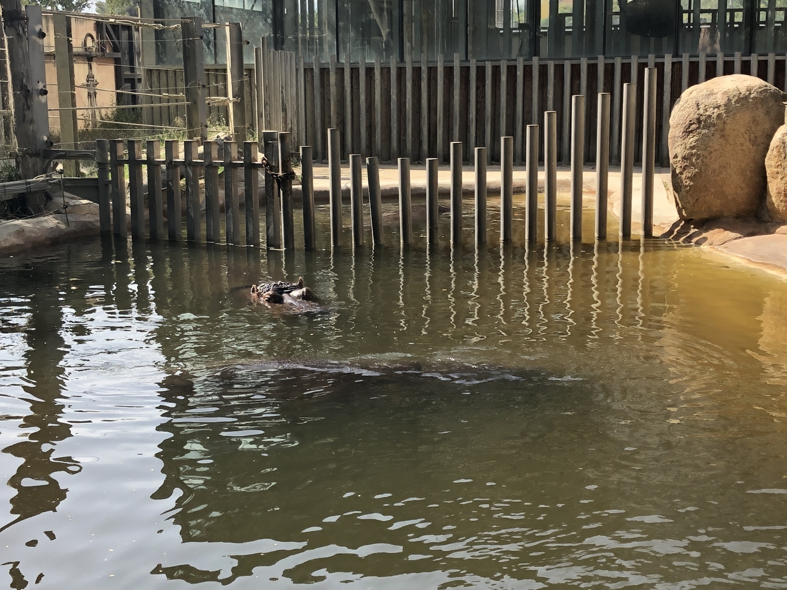 Visite du zoo de Barcelone